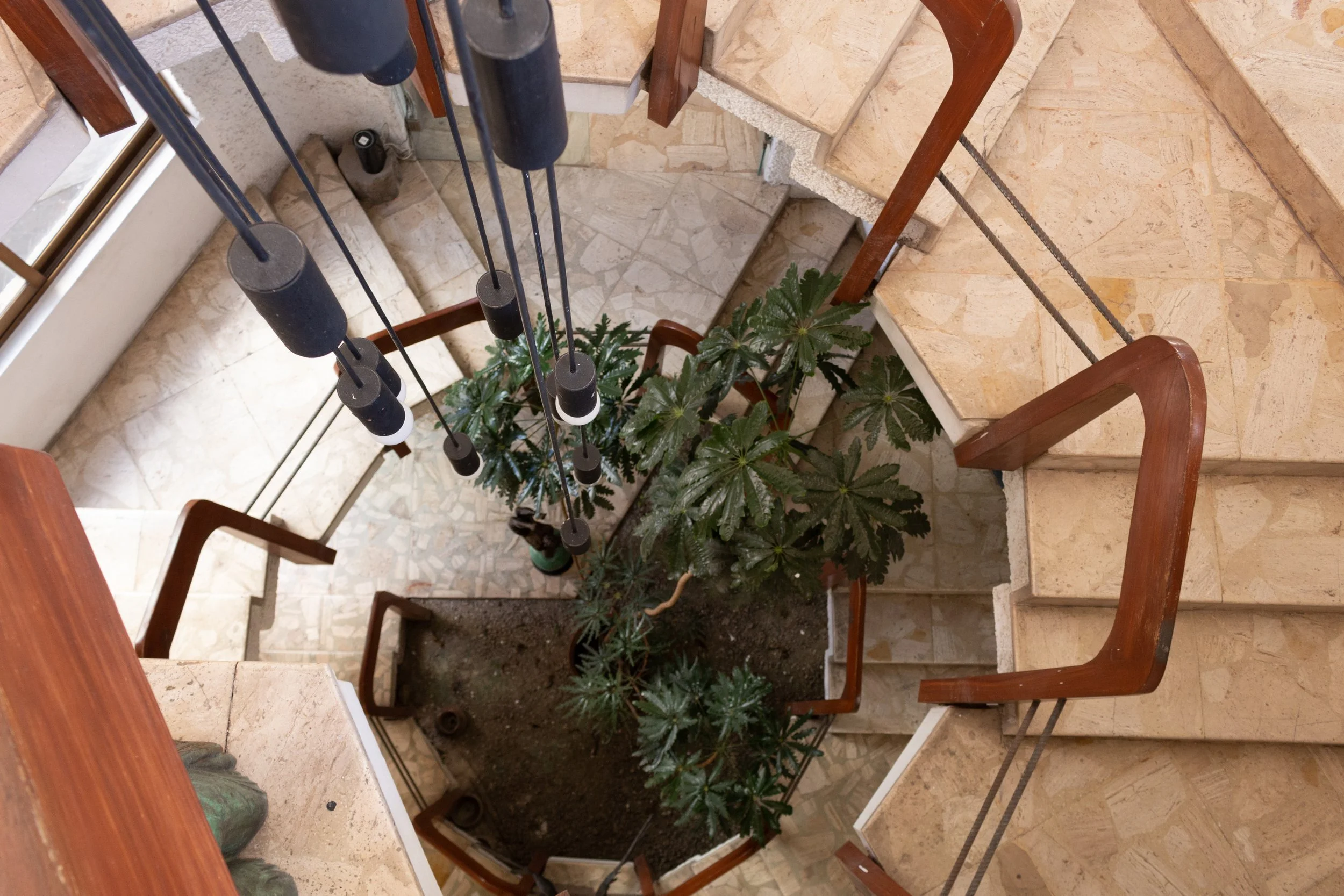 Jardines Del Sol-0824.jpg