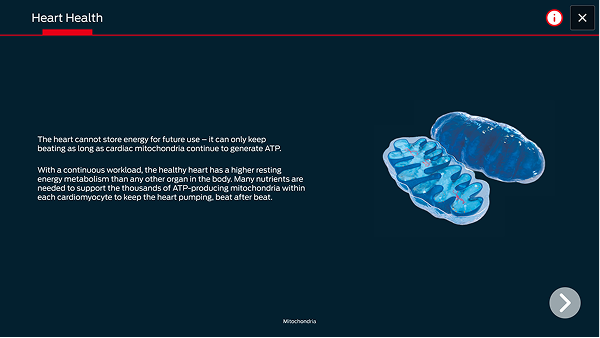 Early Development 11 1.png