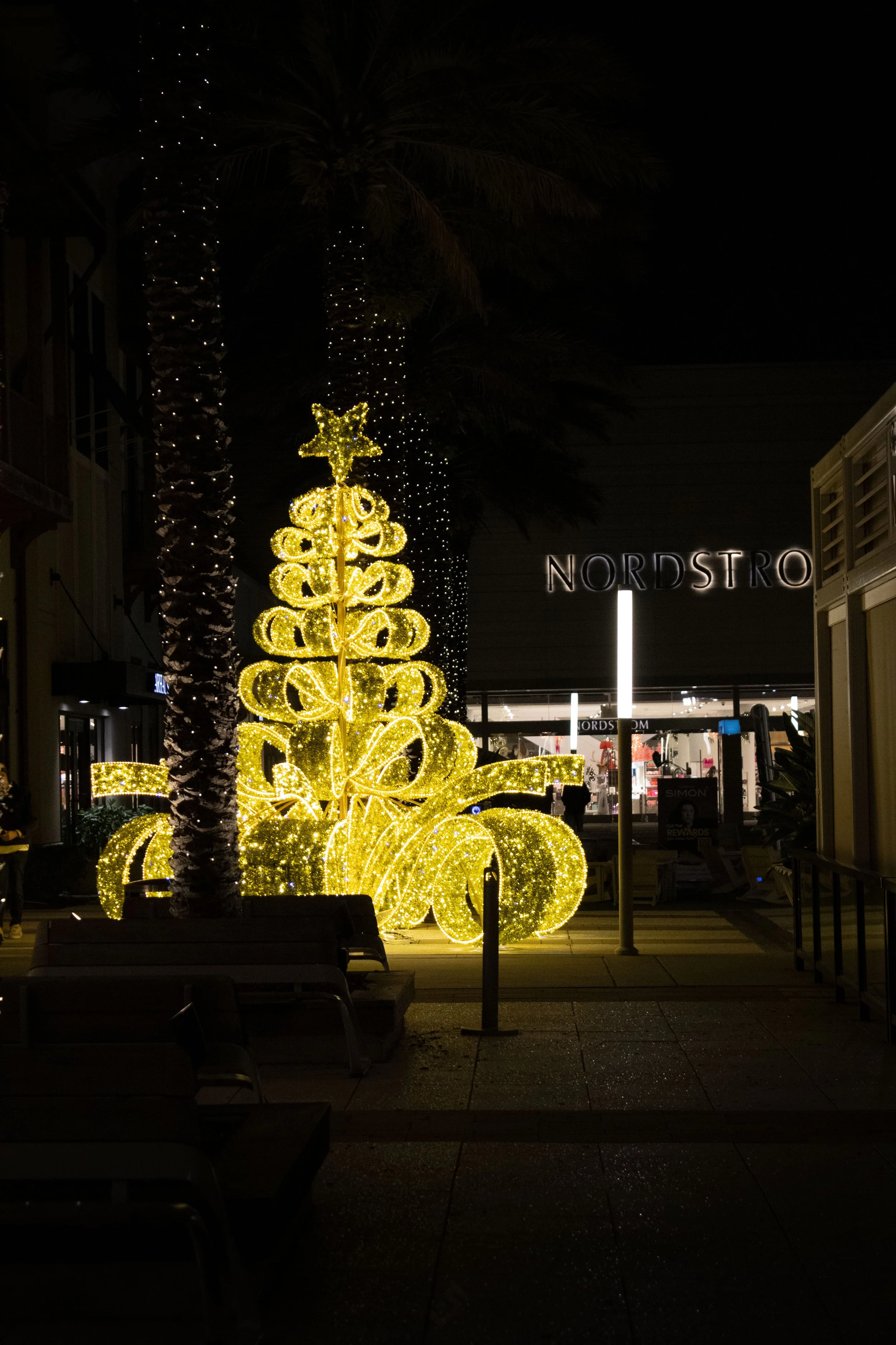 TownCenterXmas258.jpg