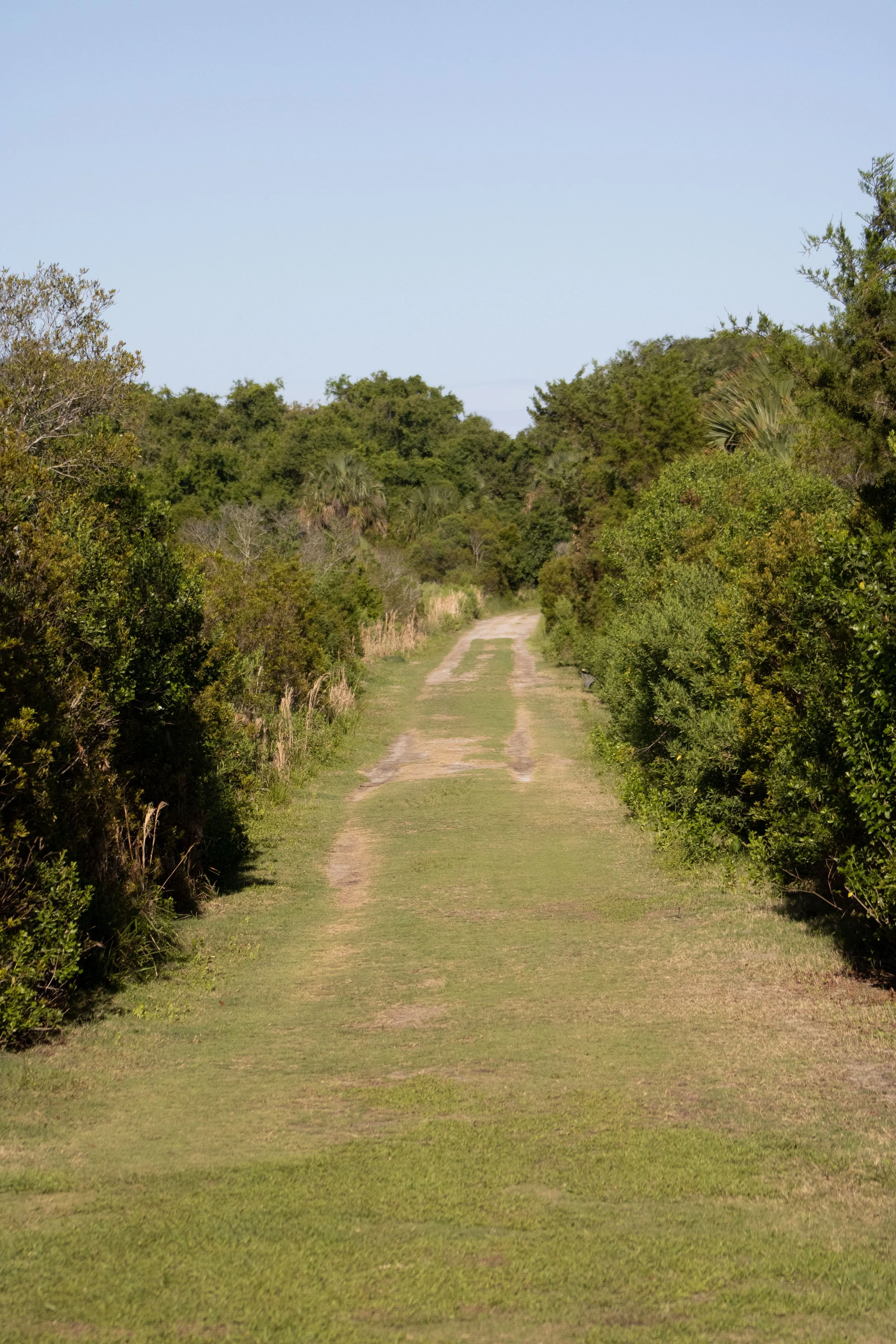 Egan06086.jpg