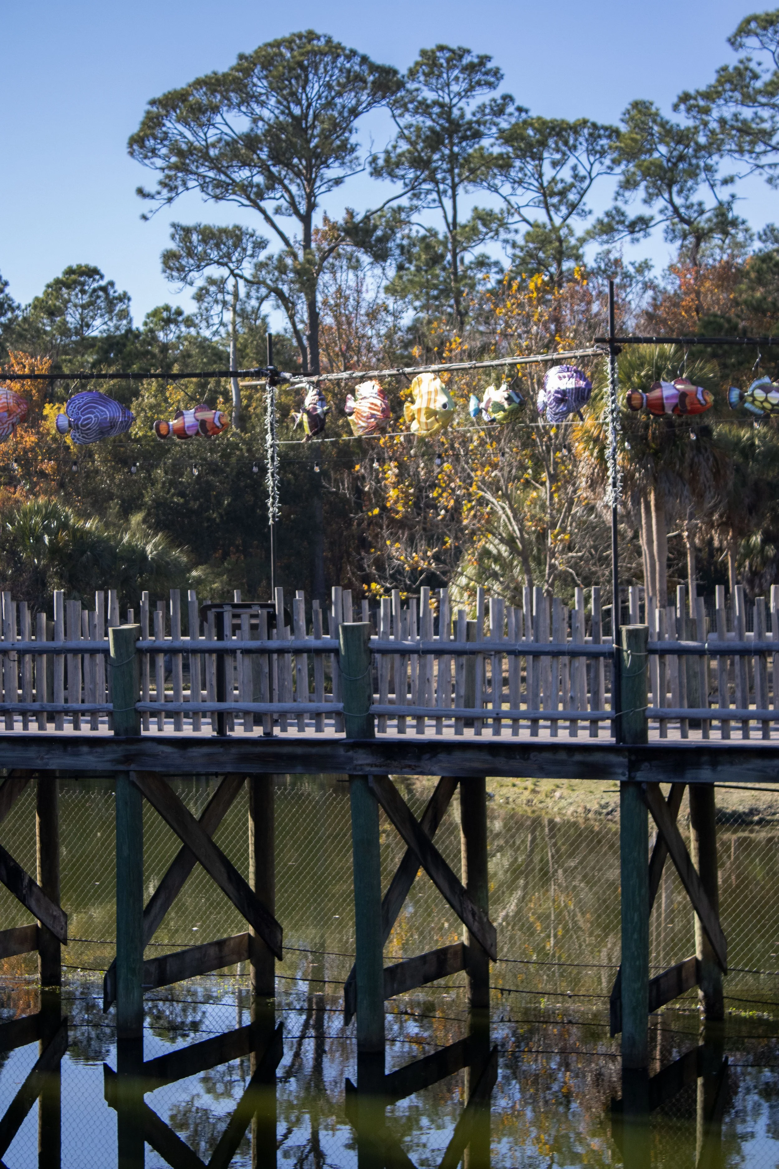 JaxZoo11226Walkway2.jpg