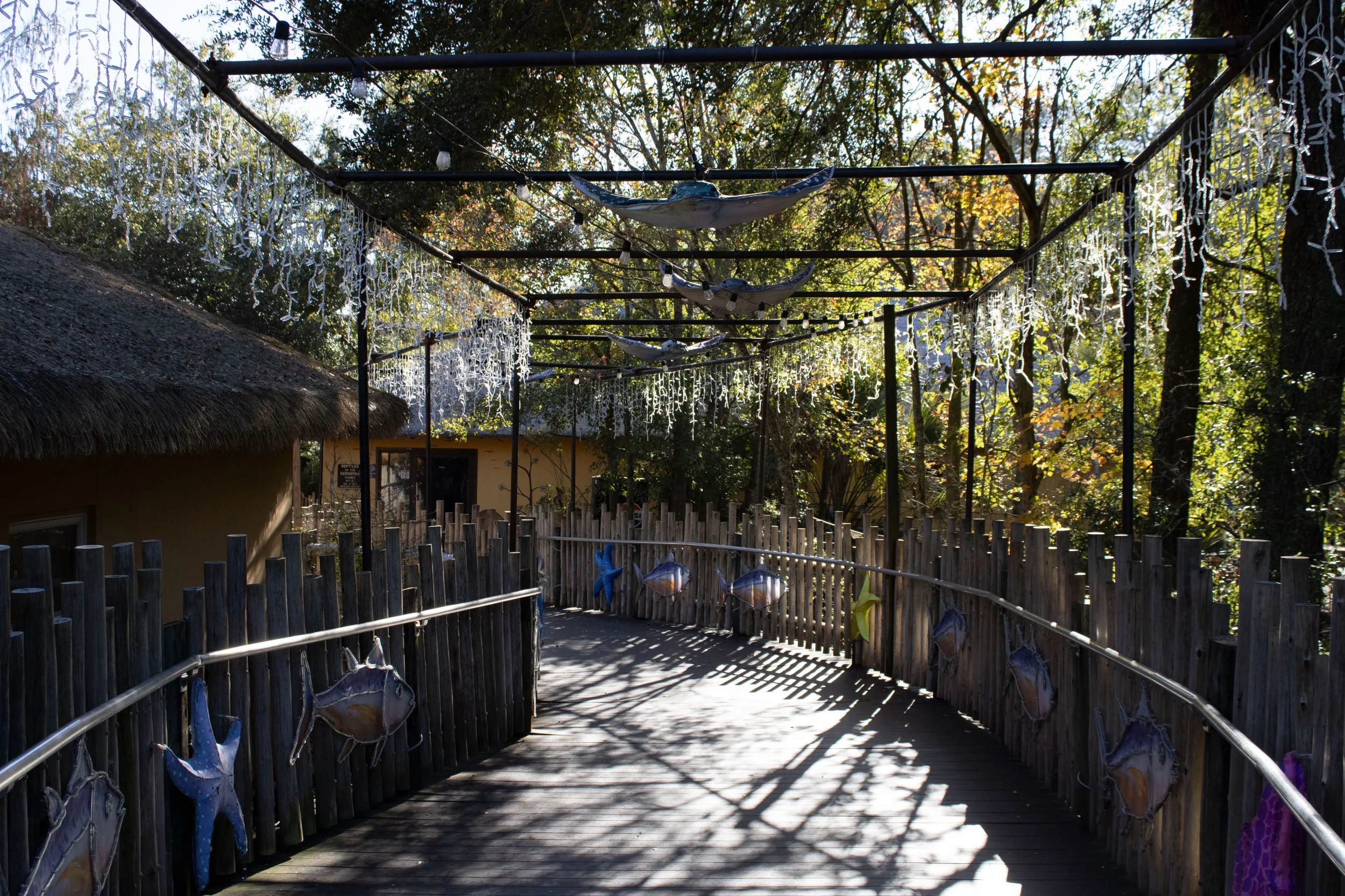 JaxZoo11226Roofwalk.jpg