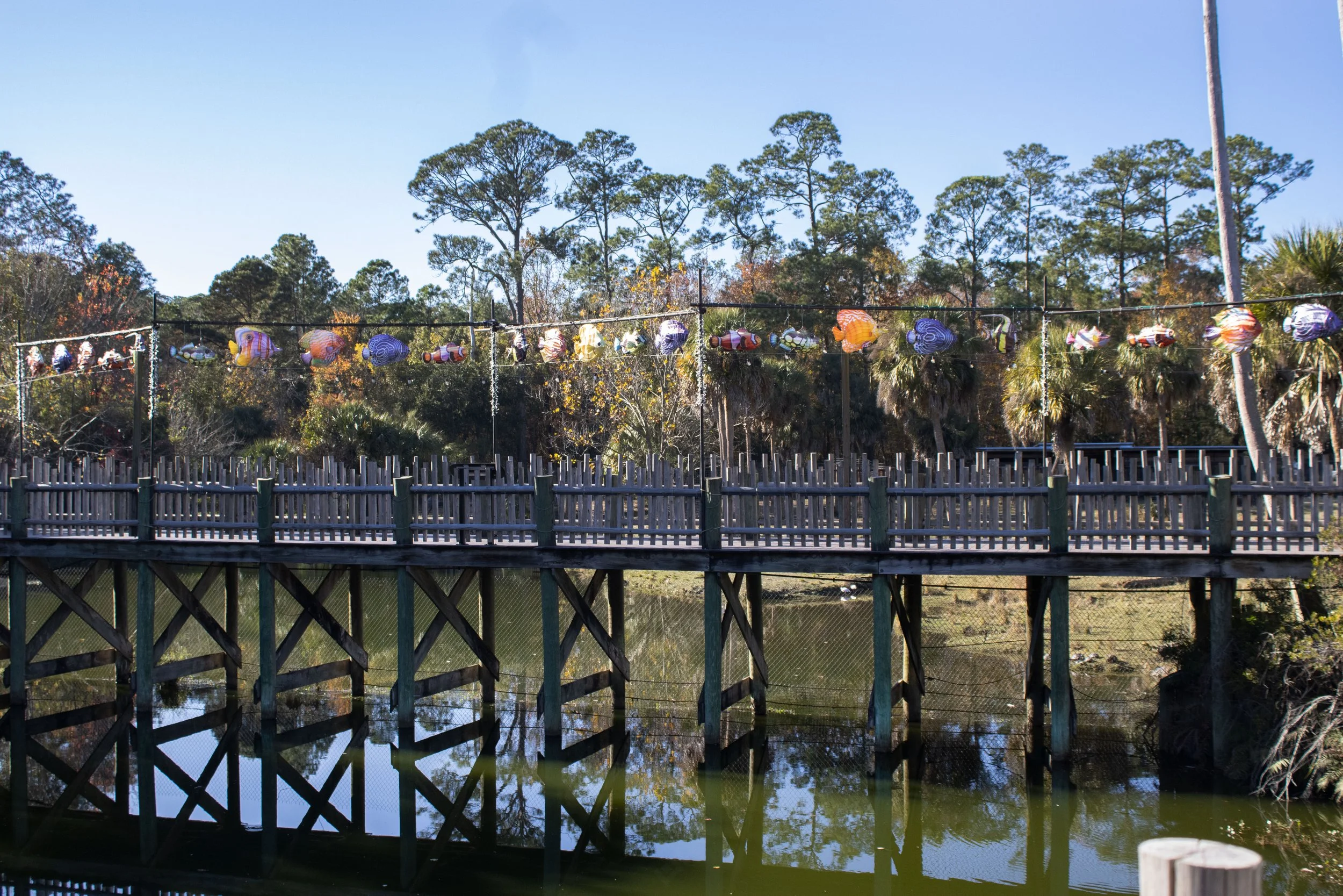 JaxZoo11226Walkway.jpg