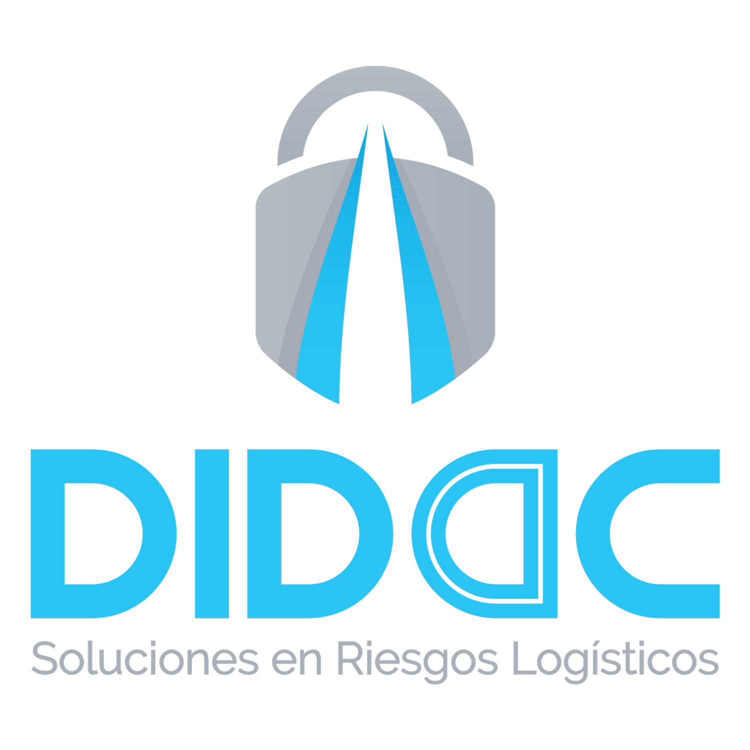 didacsoluciones.com