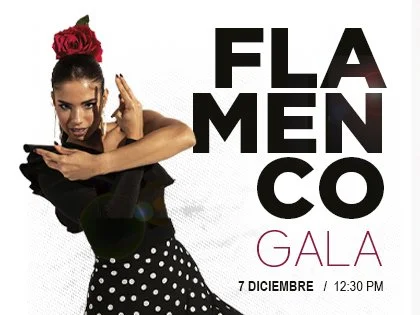 Teatro Trail Miami - PATTY CINQUEMANI PRESENTA FLAMENCO GALA