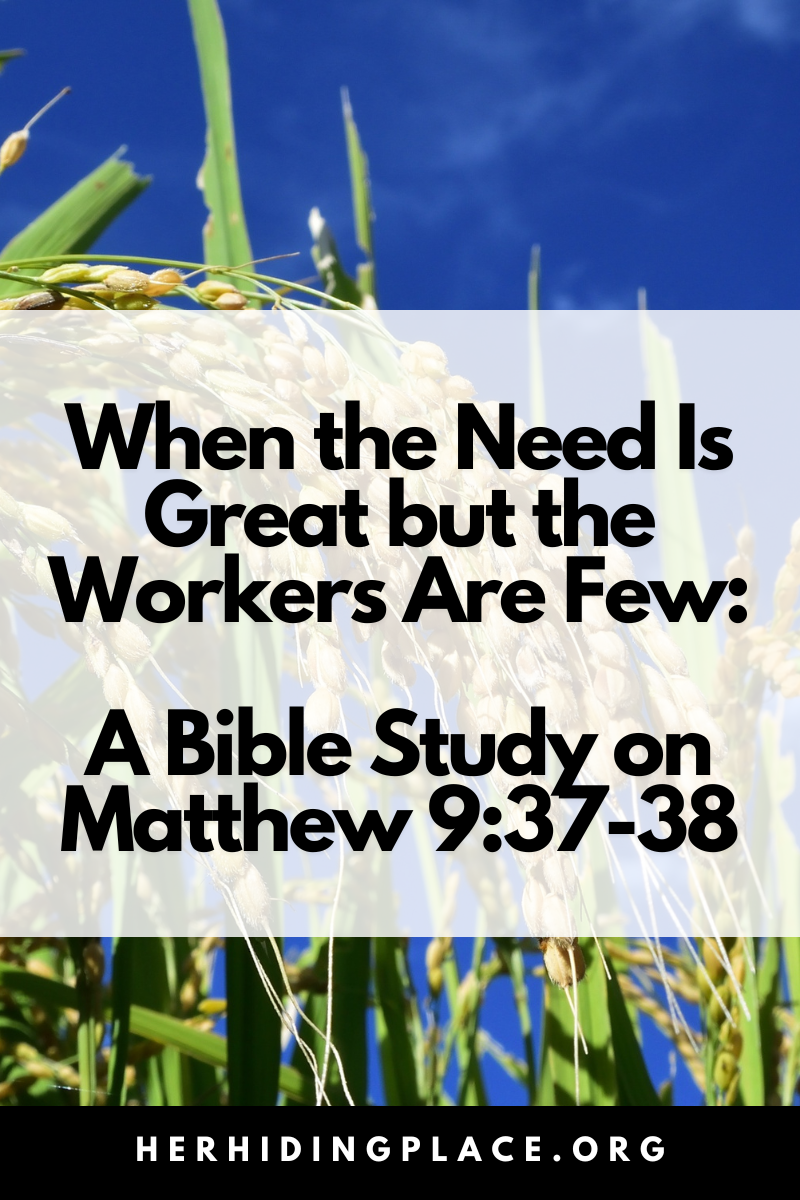 When the Need Is Great but the Workers Are Few: A Bible Study on Matthew 9:37-38