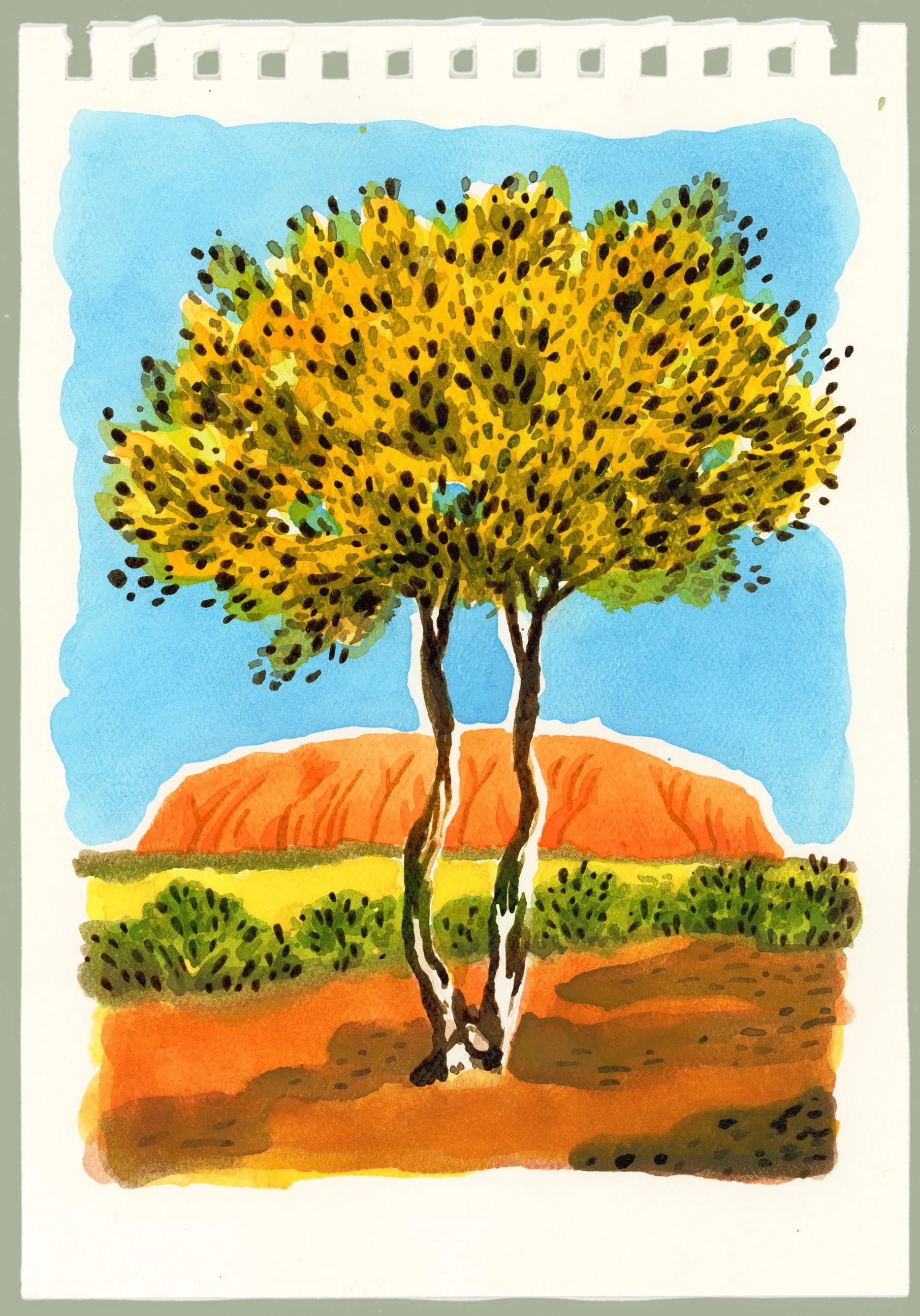 Ayers Rock| Uluru, Australia