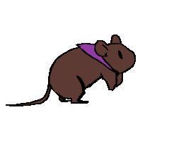 ezgif.com-animated-gif-maker (5).gif