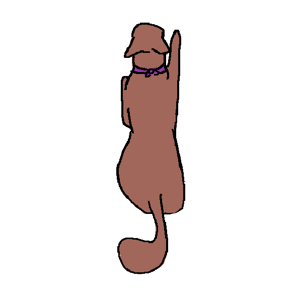 ezgif.com-animated-gif-maker (2).gif