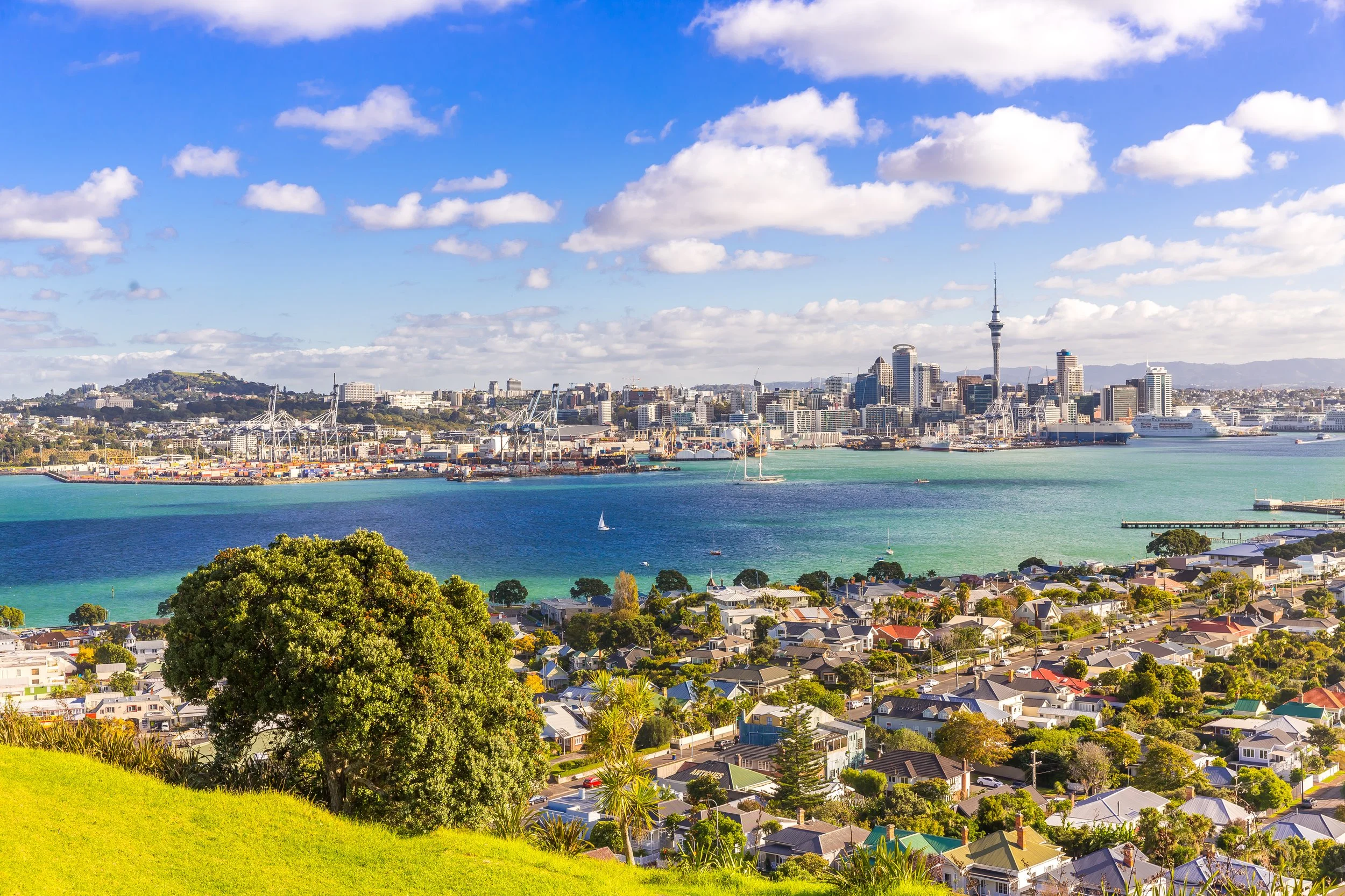 An Unexpected Home Relocation Hub: Auckland, New Zealand