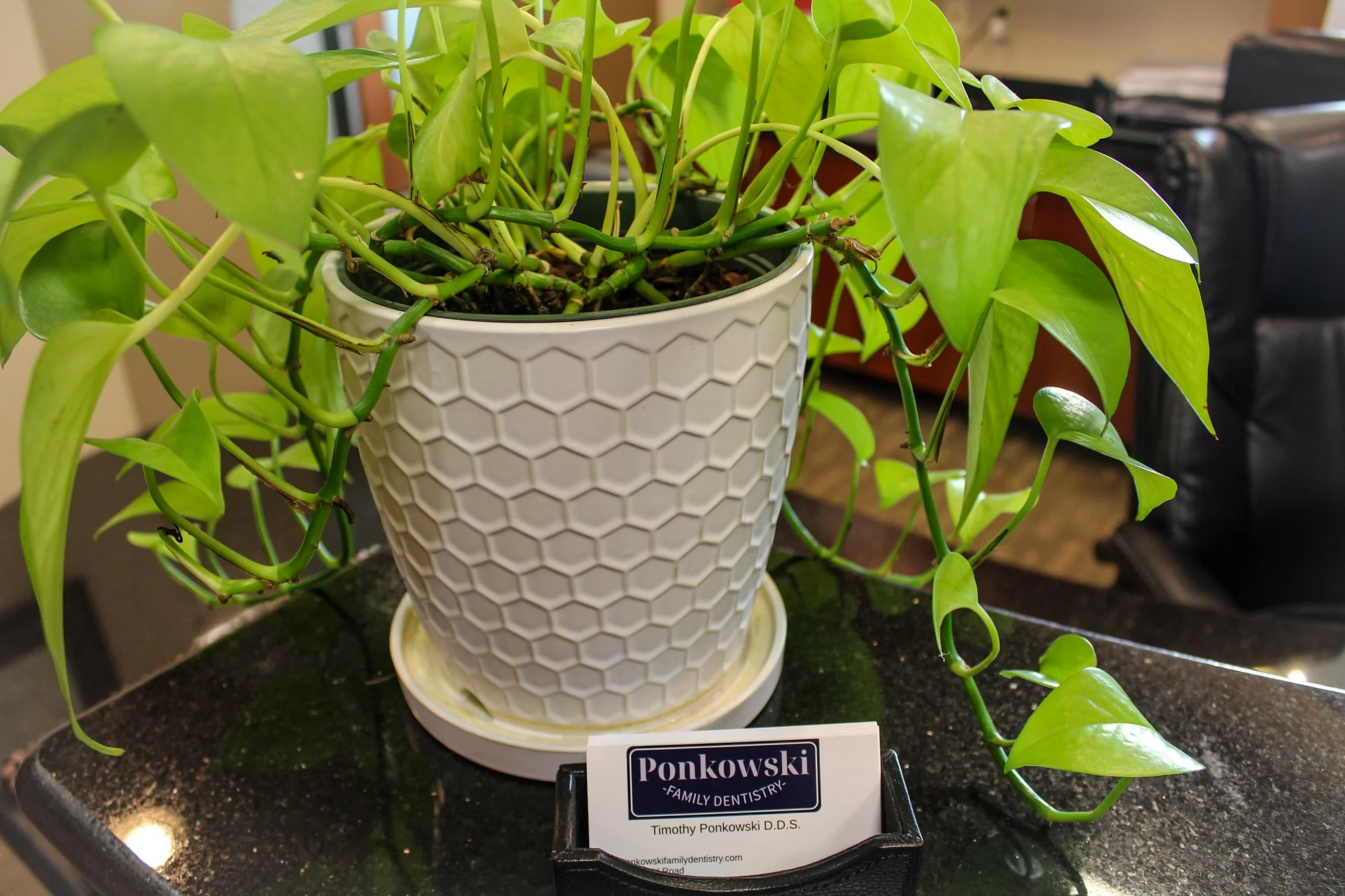 Ponkowksi Family Dentist Front Desk