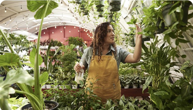 Custom Plant Space Solutions