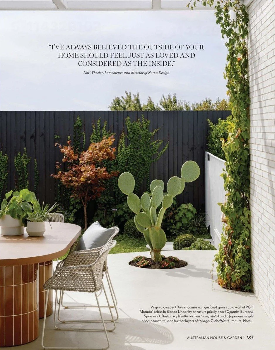 AHG December norsu 4.jpeg