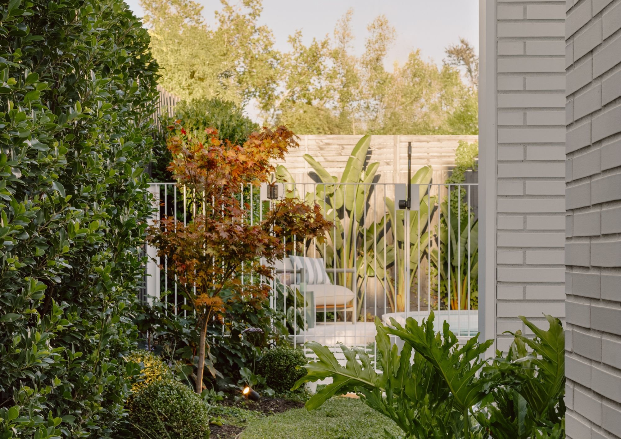 screening plants with mint design (1).jpg