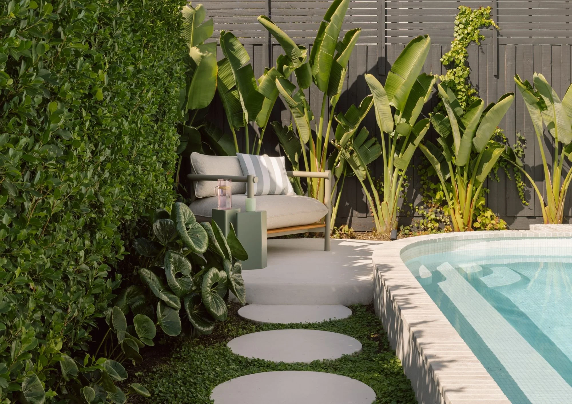 The Best Screening Plants for the Modern Australian Garden