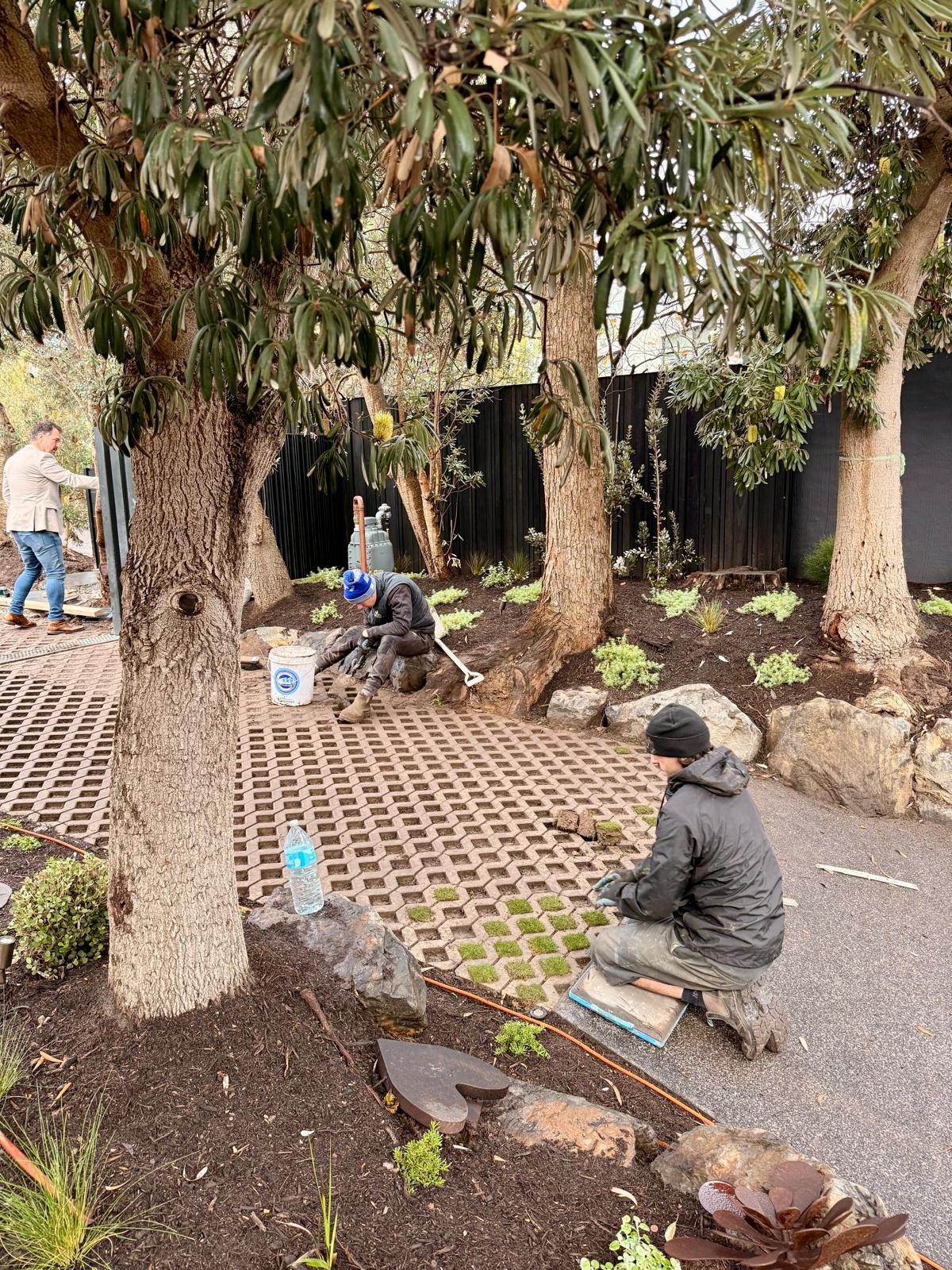 Beaumaris grass paving progress 1.jpeg
