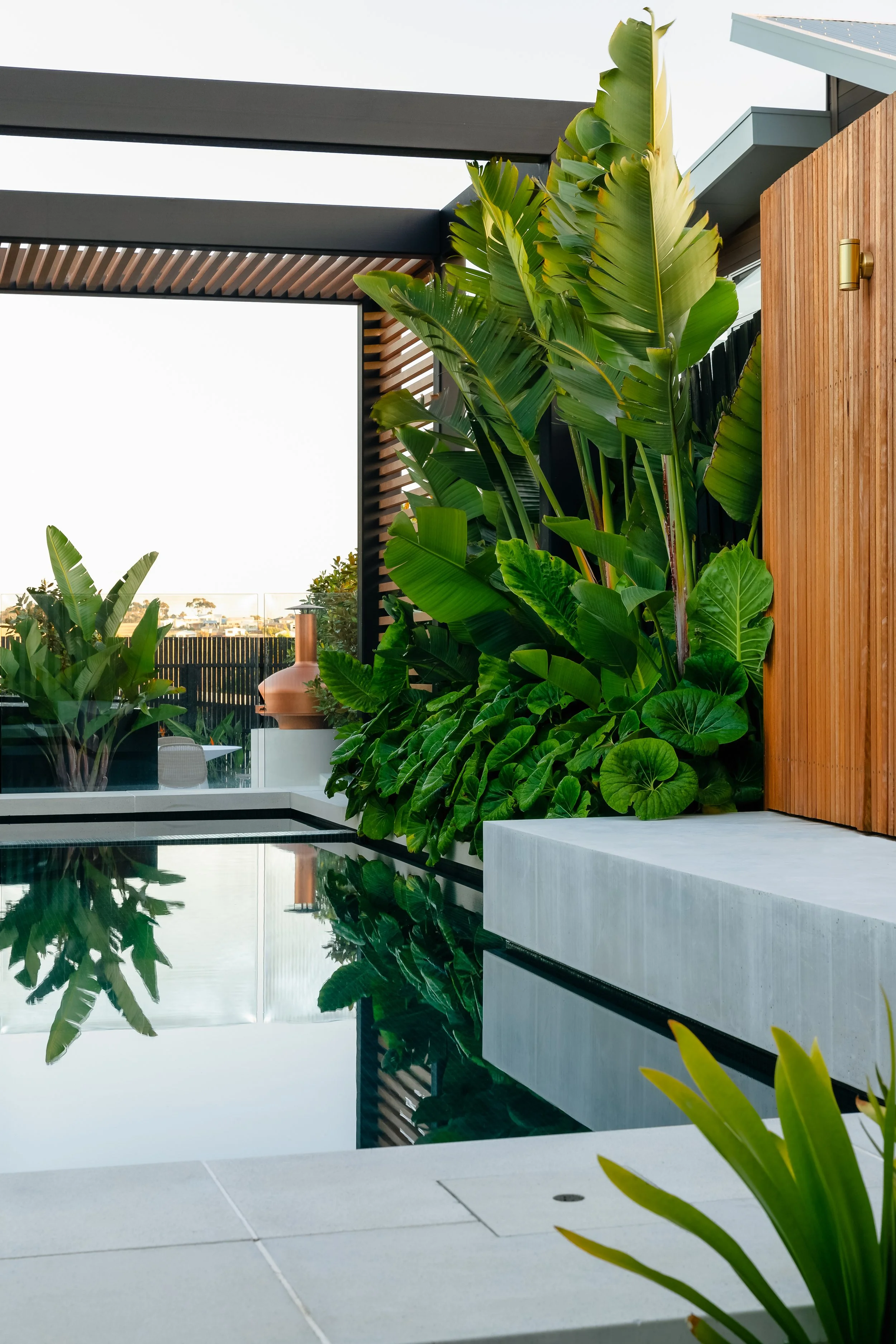 Pool and lush oasis planting by Mint Landscape Design in Torquay