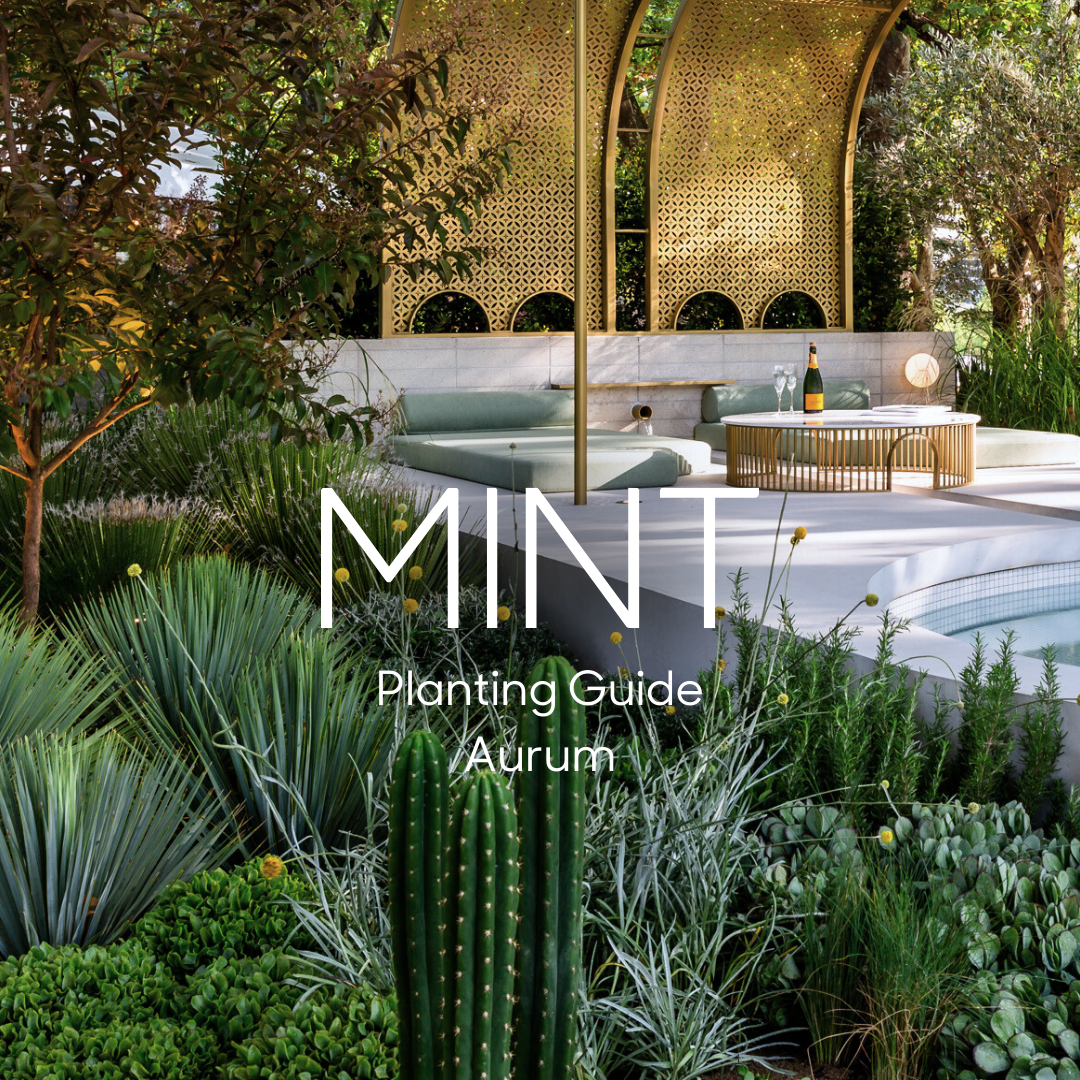 MINT Design | Luxury Landscape & Pool Design | Melbourne, Brisbane, Noosa