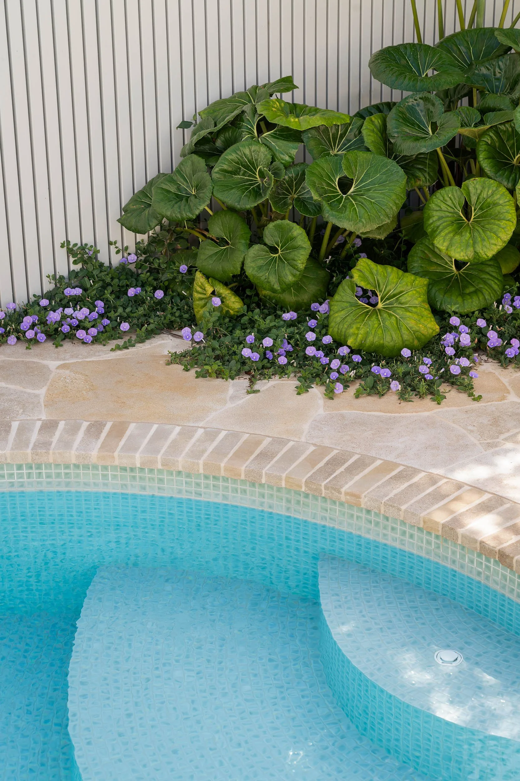 Lume_house_Mint_Design_0235.jpg