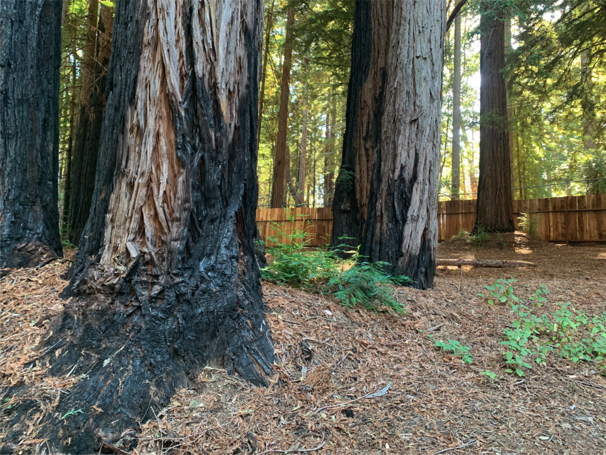 Mothering Through Loss and Finding New Hope