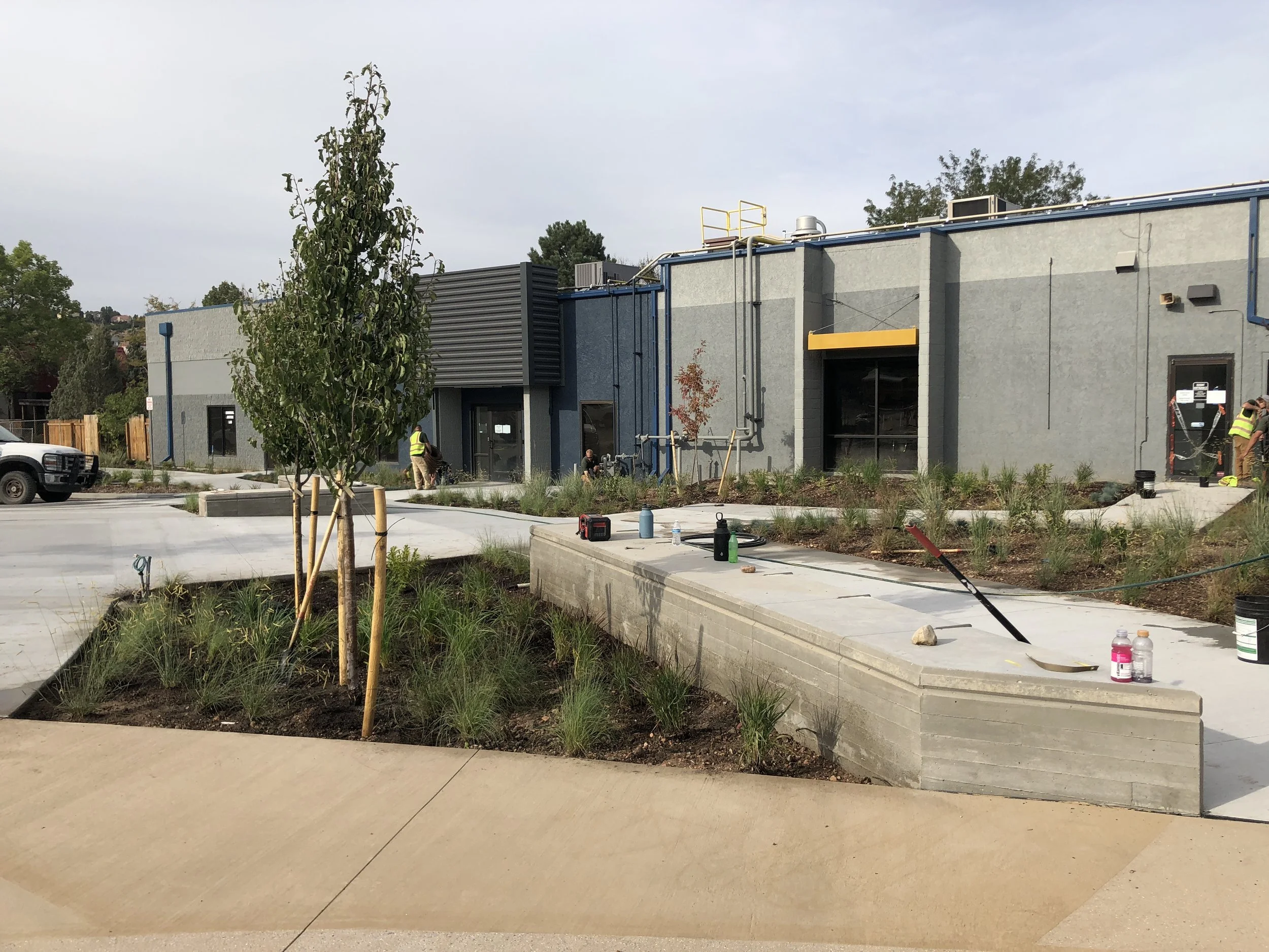 CSEC Commercial Landsscaping11.JPG