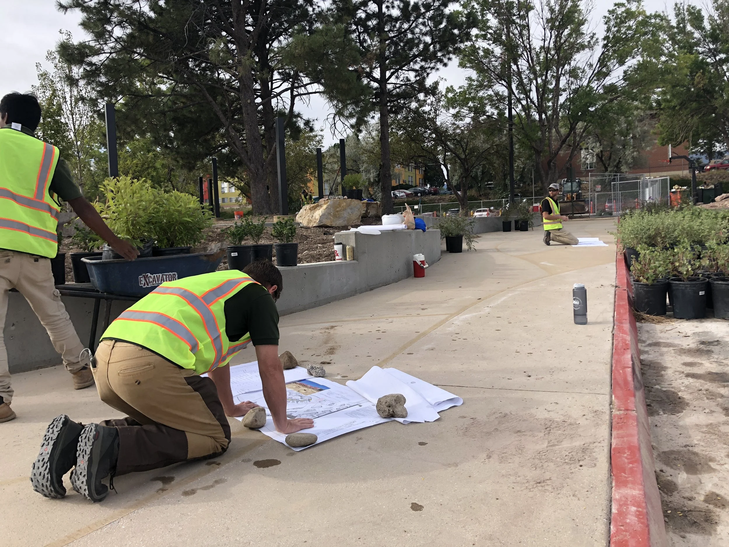 CSEC Commercial Landsscaping7.JPG