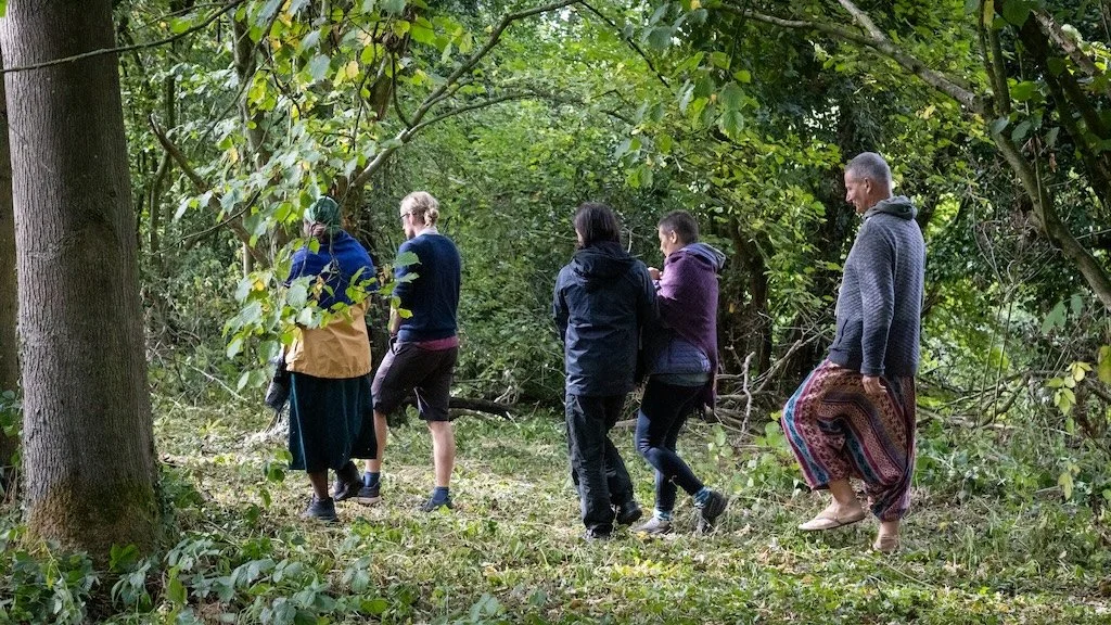 Mindful walk