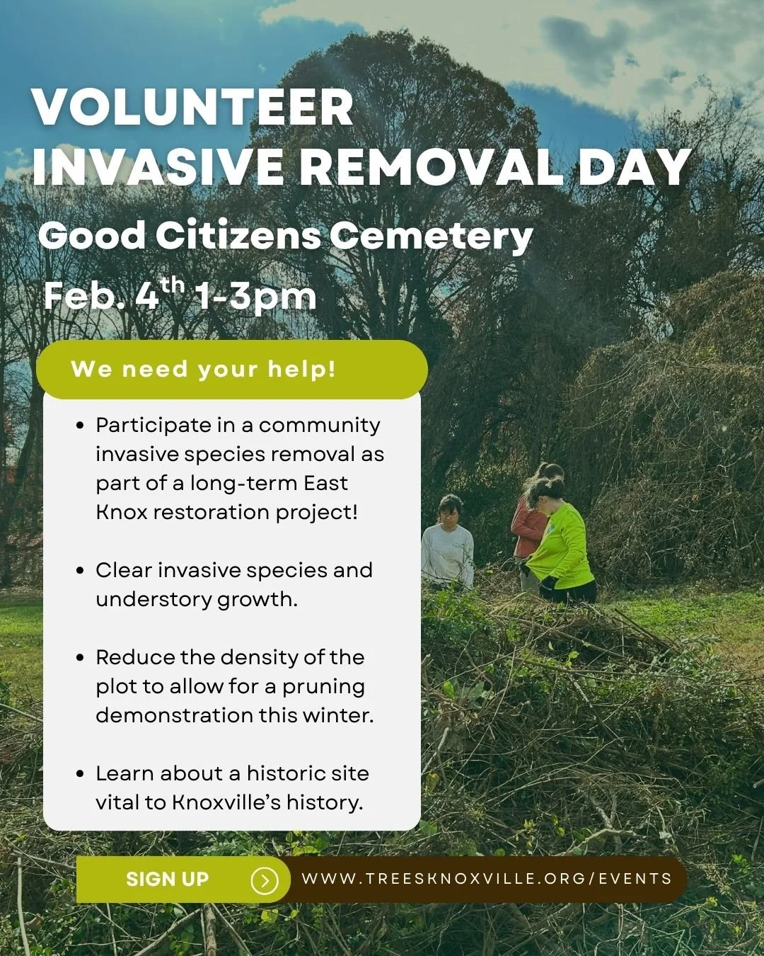 Invasive Removal at Good Citizens Cemetery