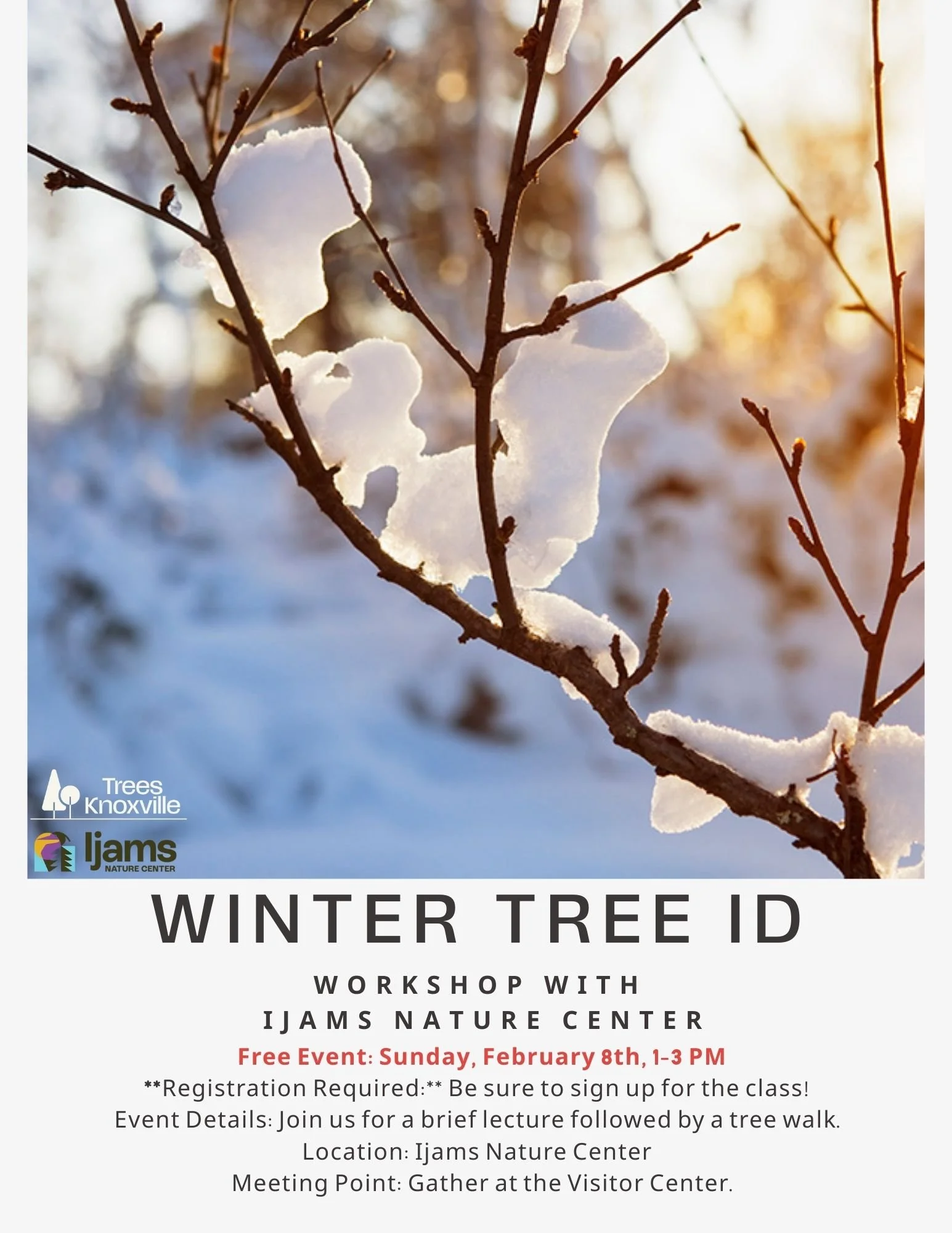 Winter Tree ID Workshop