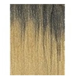 IMG_3321.jpeg