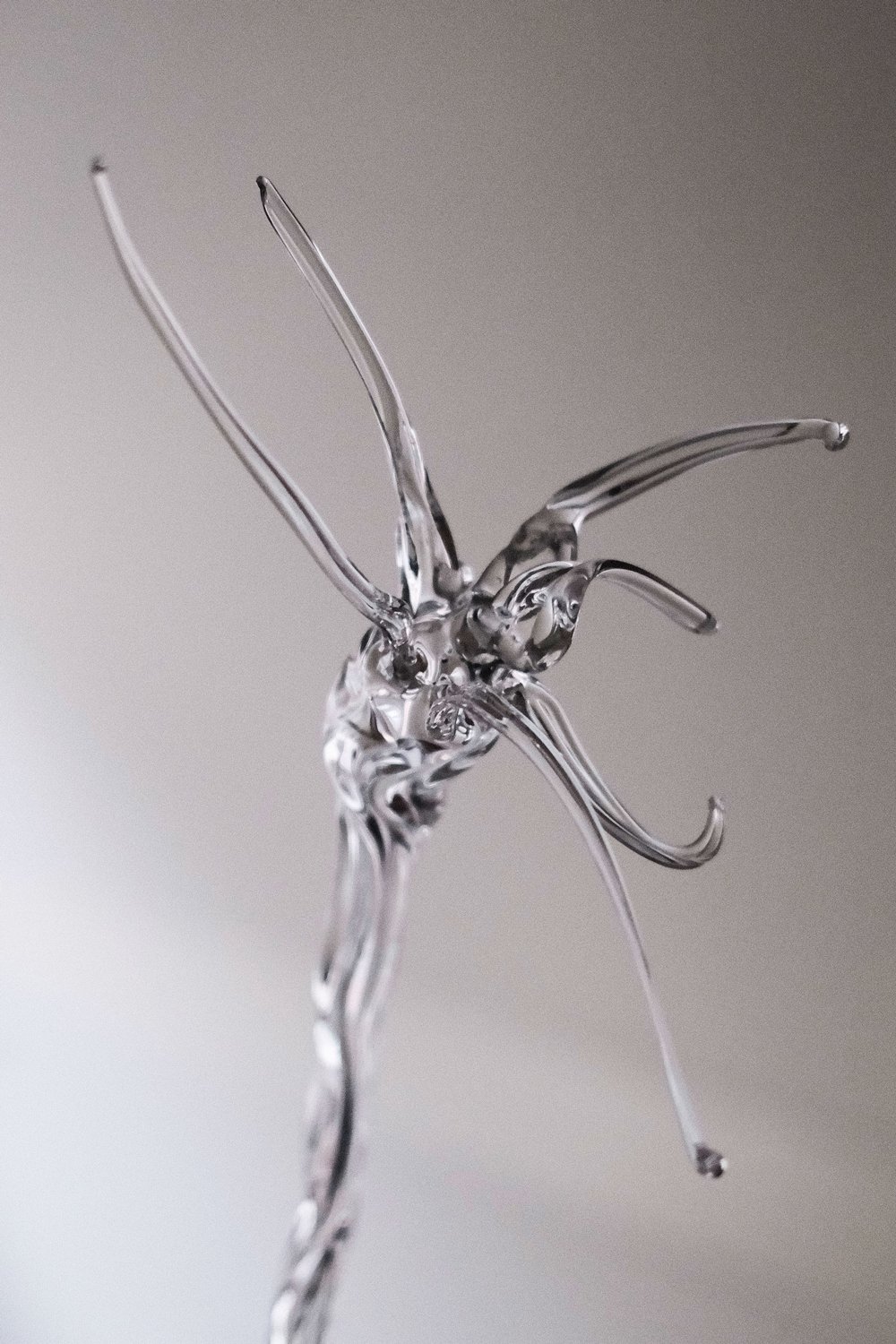 EPHEME glass sculpture by Ukrainian artist Natalie Dubrovska