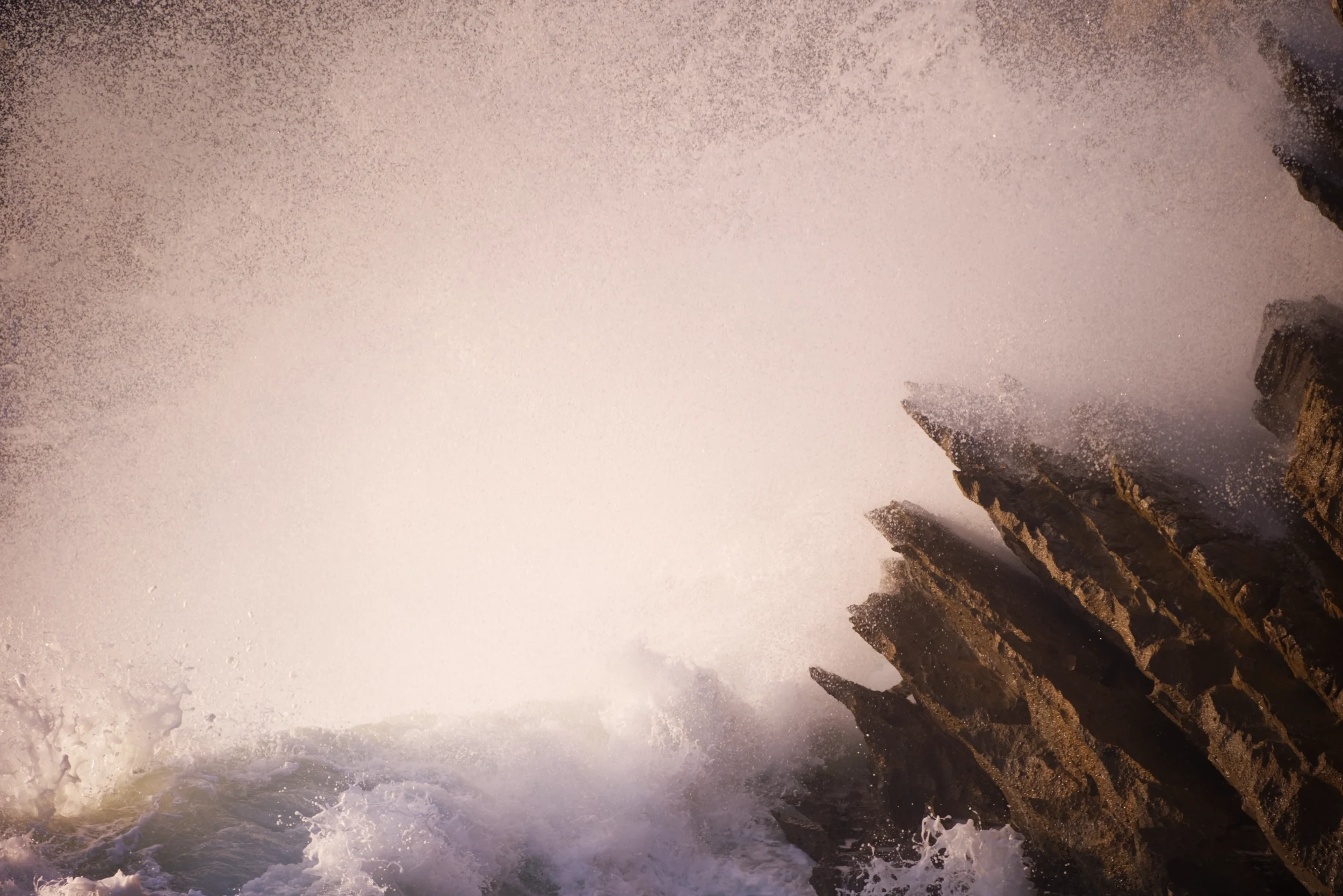 DSCF8756-m.webp