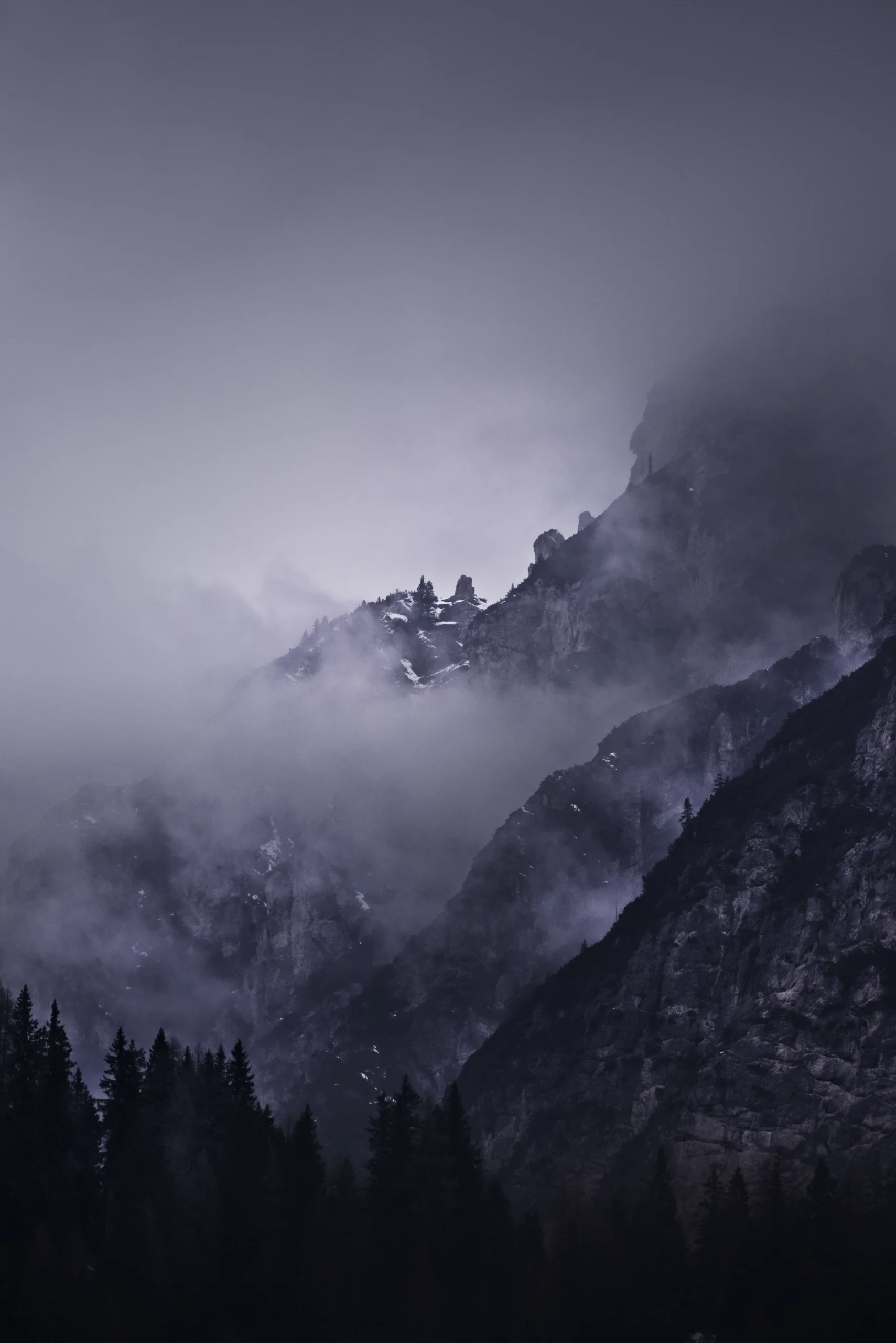 DSCF6935.webp