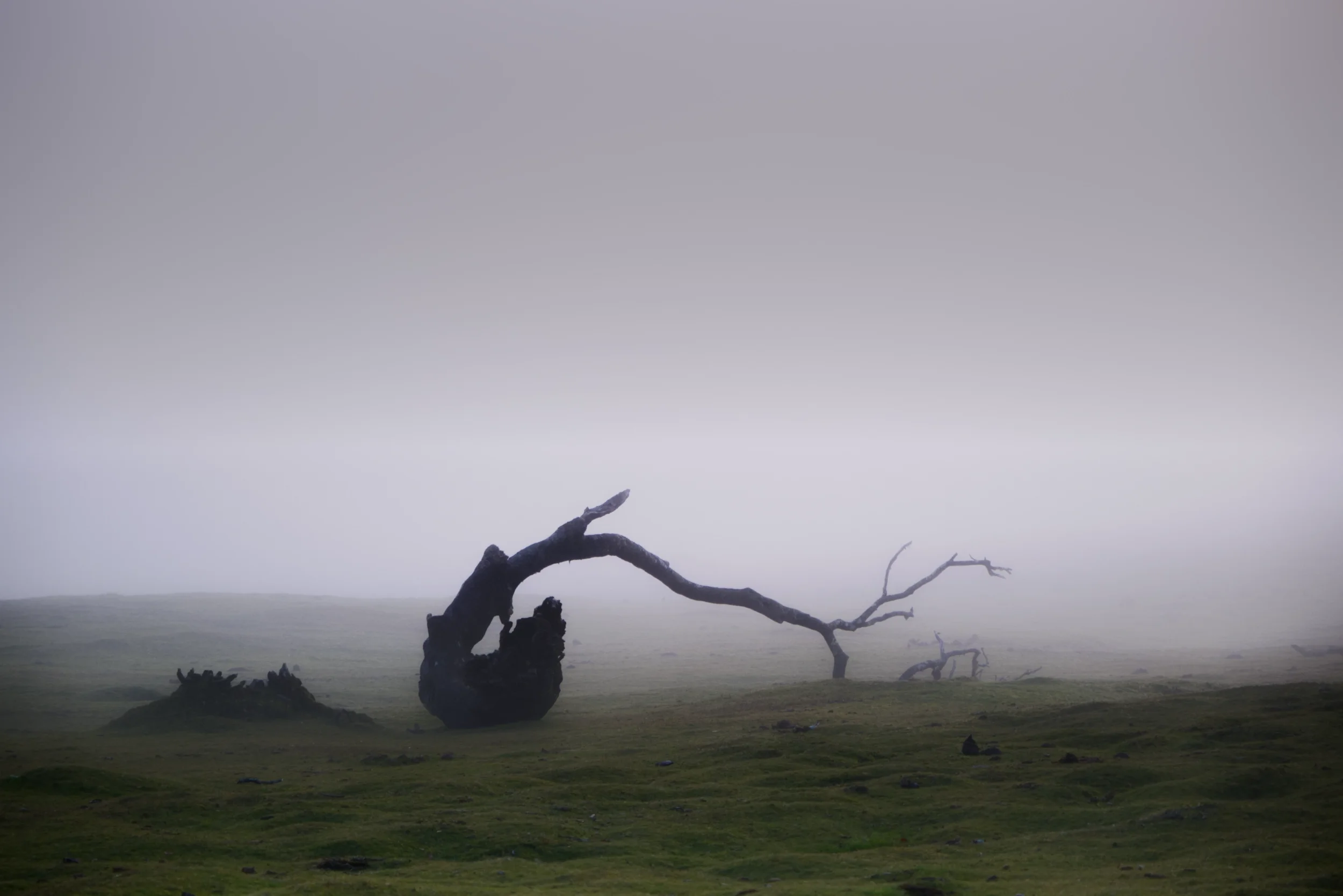 DSCF4288-m.webp