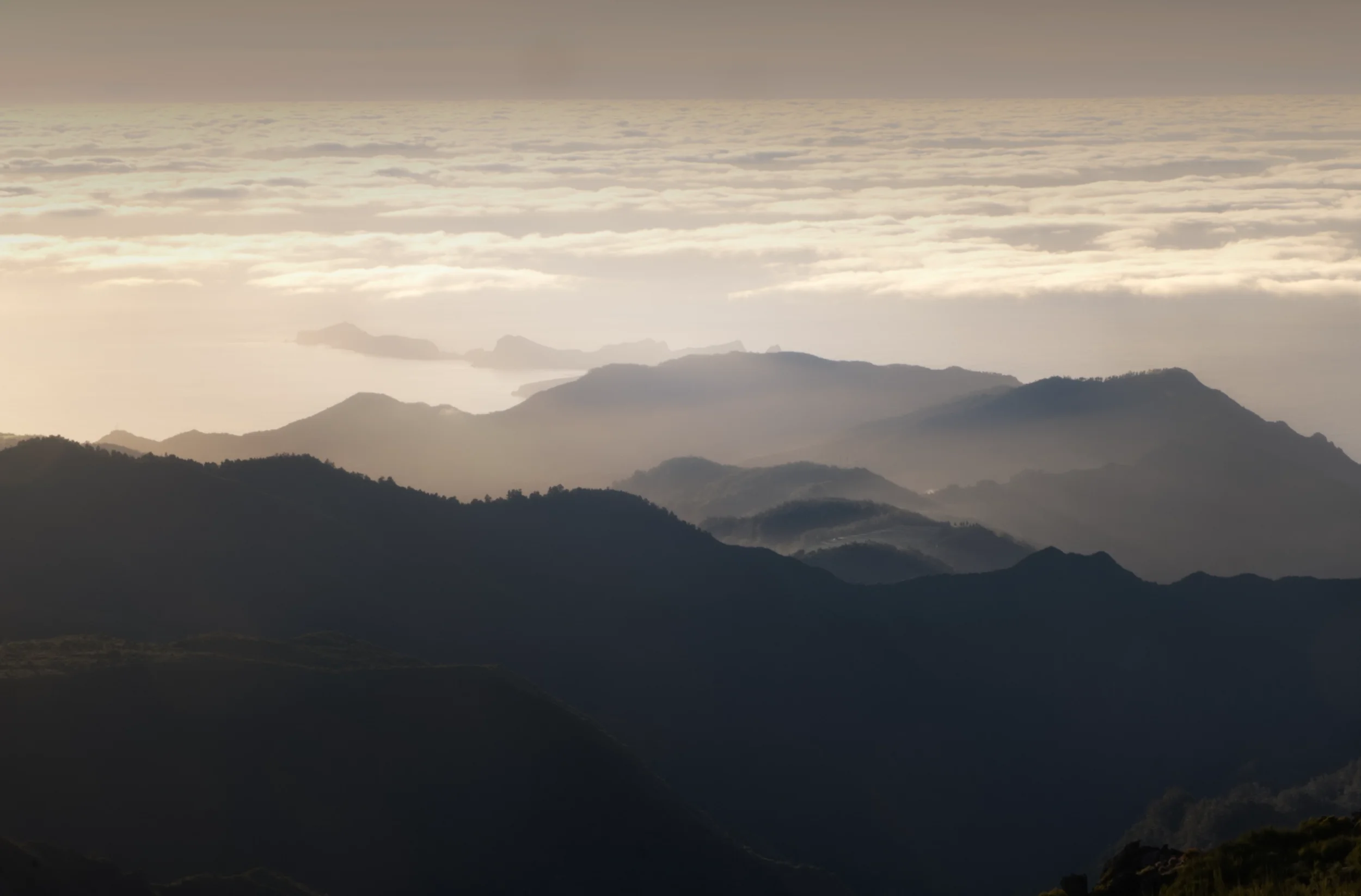 DSCF4303-m.webp