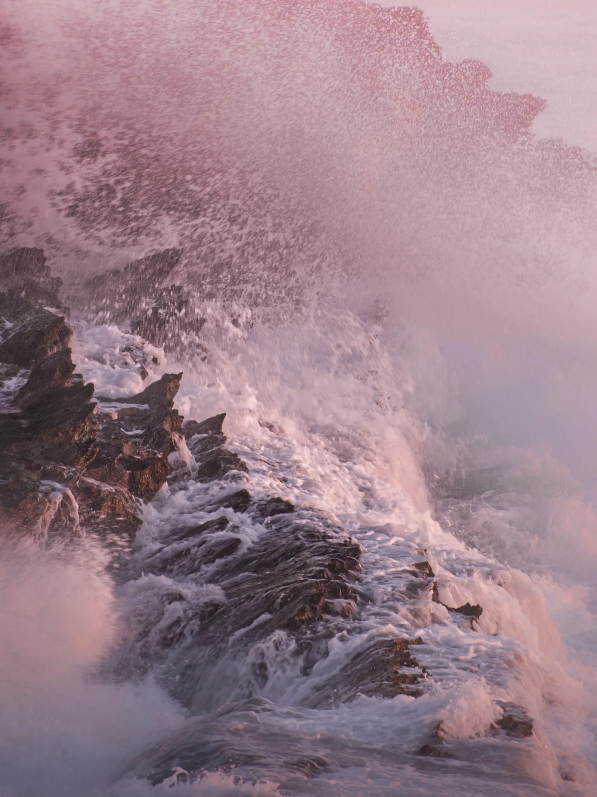 DSCF8204-m.webp