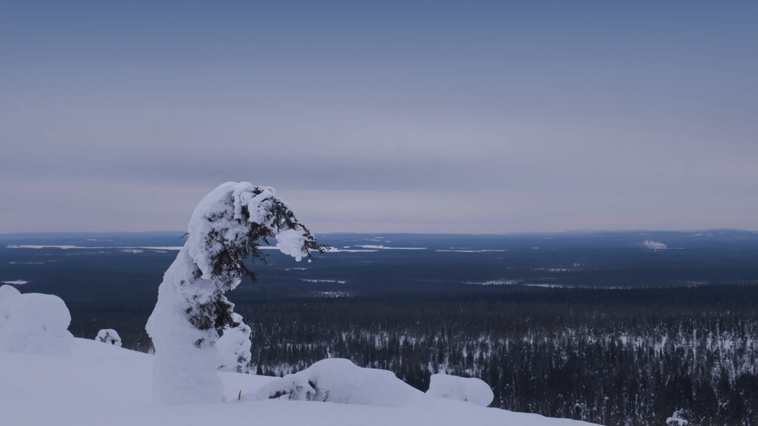 DSCF2449.webp