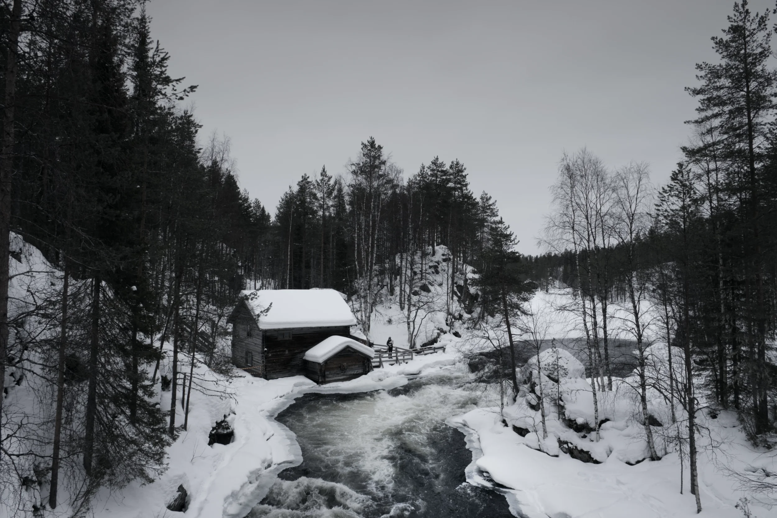 DSCF2379.webp
