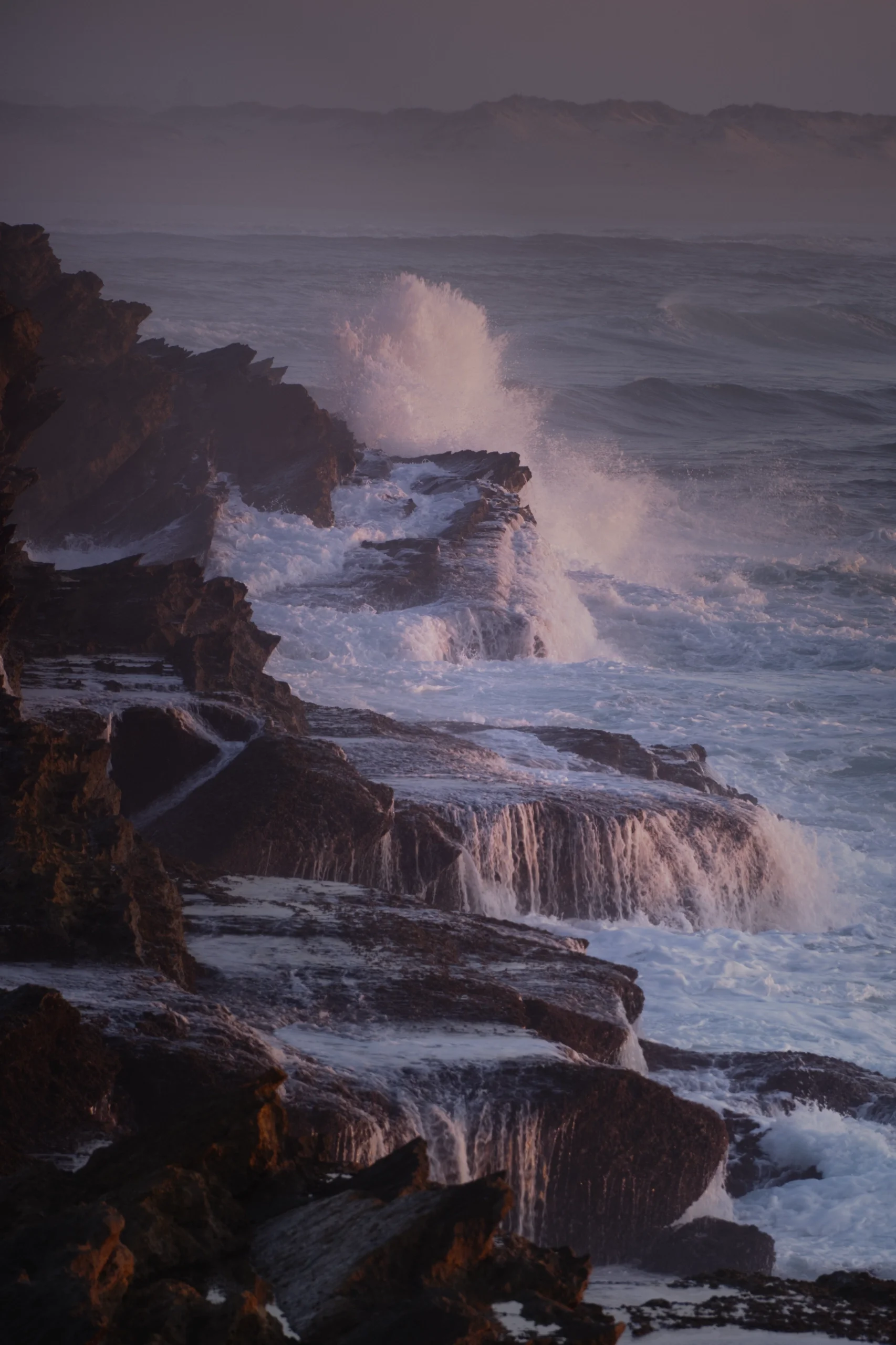 DSCF4876.webp