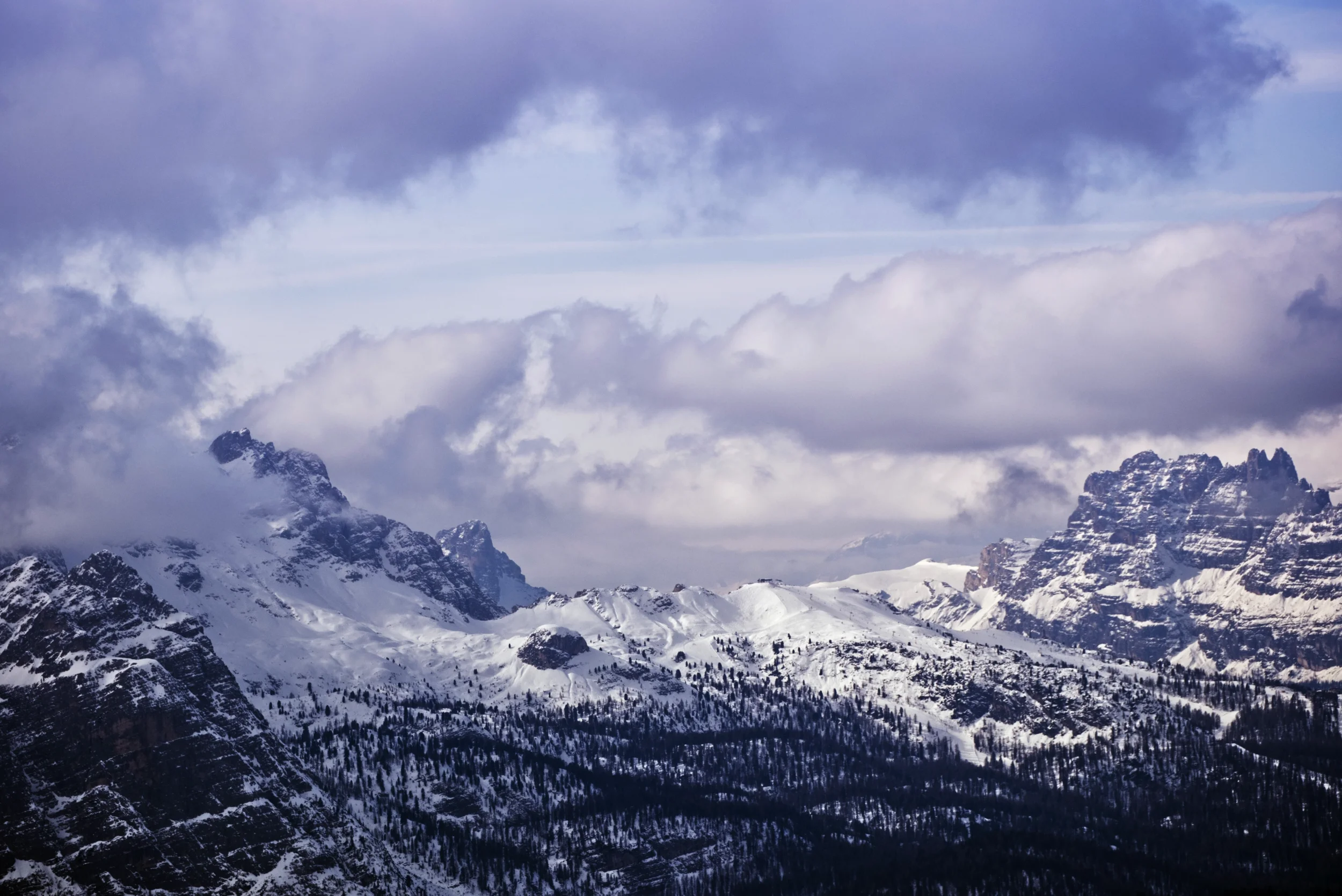 DSCF6906-m.webp