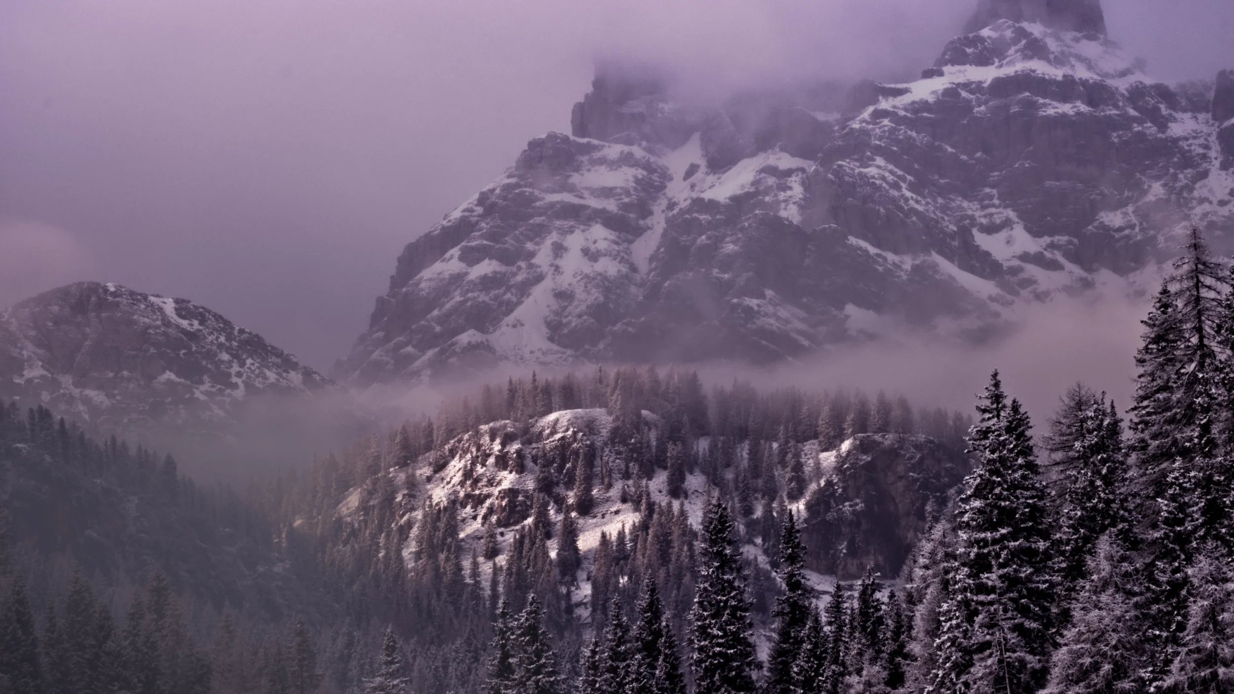 DSCF6995-m.webp