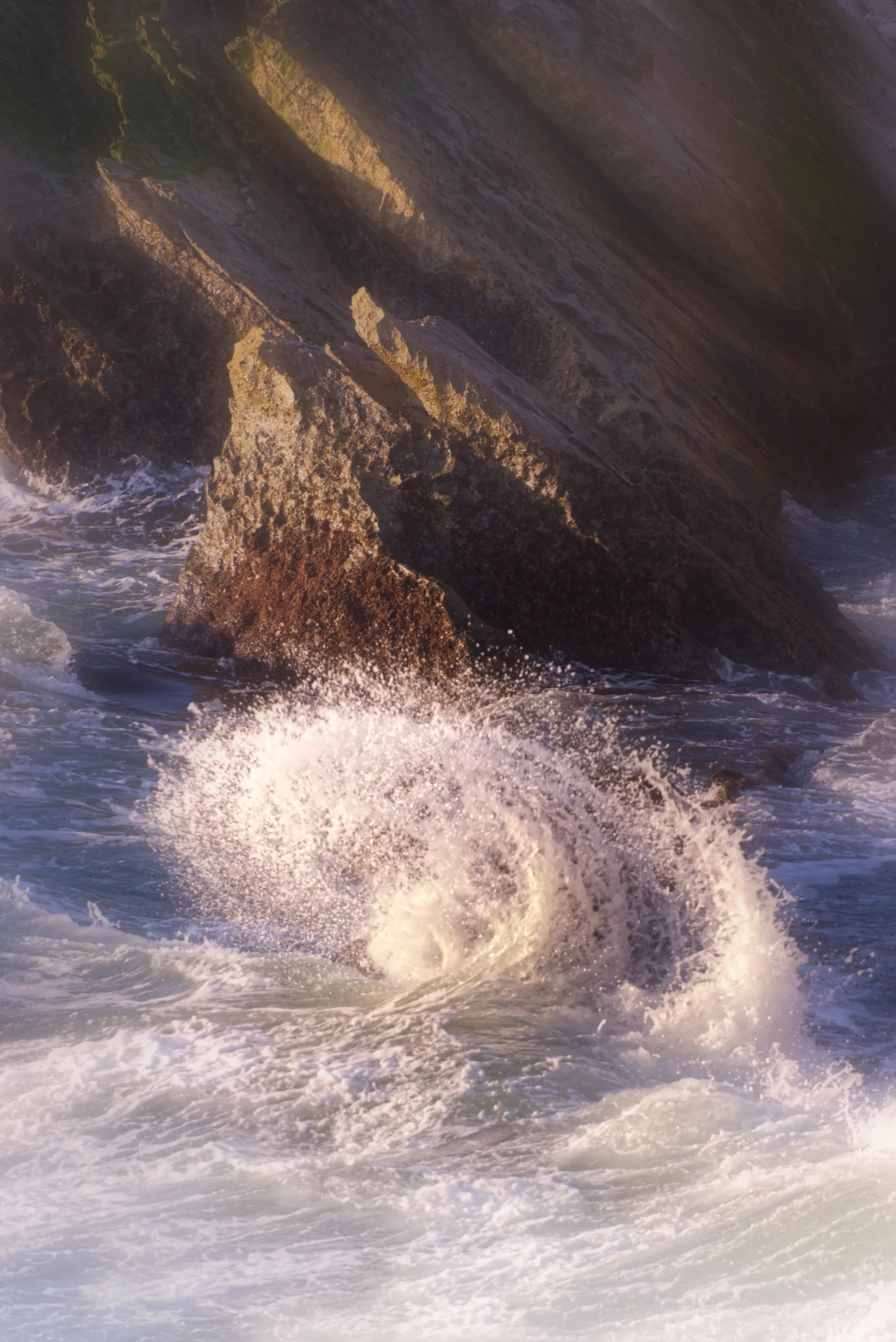 DSCF7715-m.webp