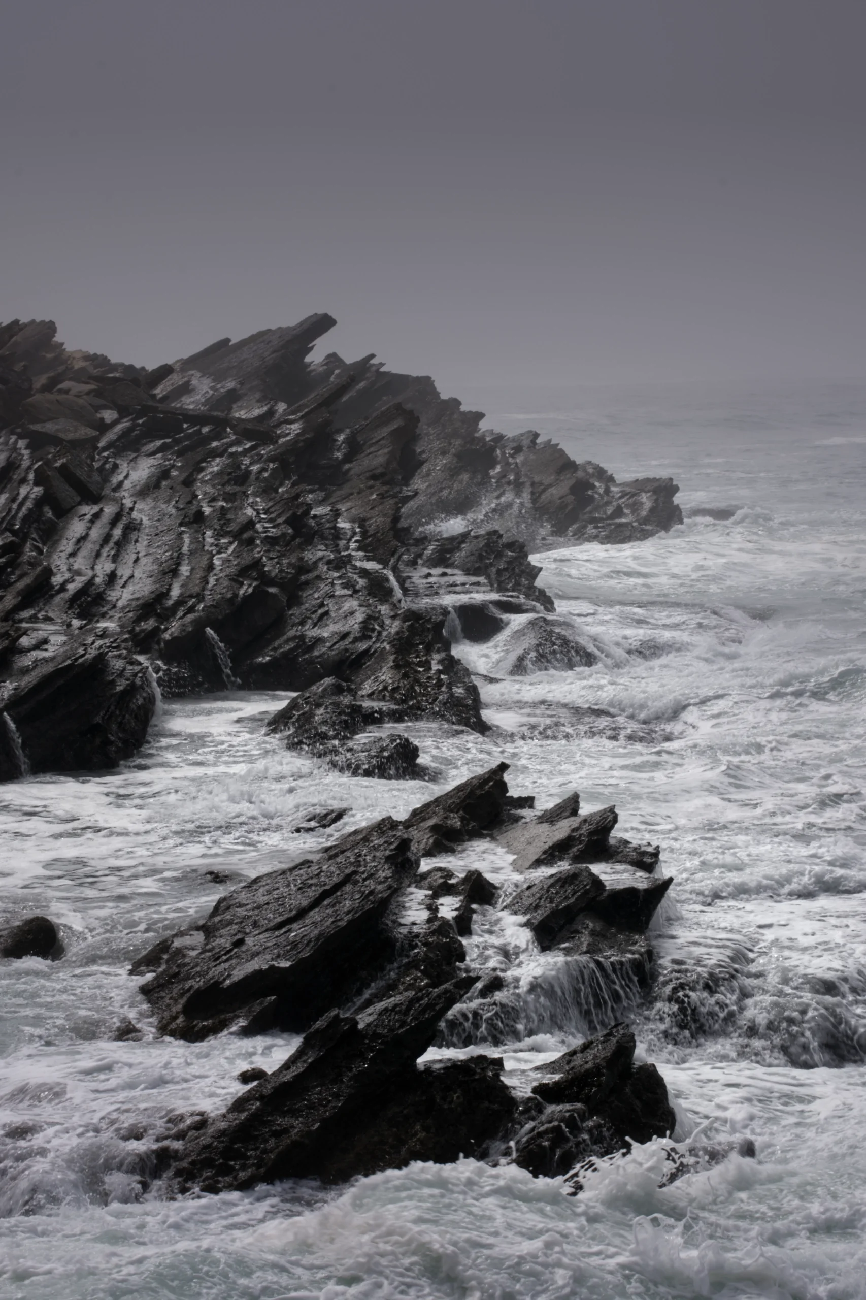 DSCF4863-m.webp