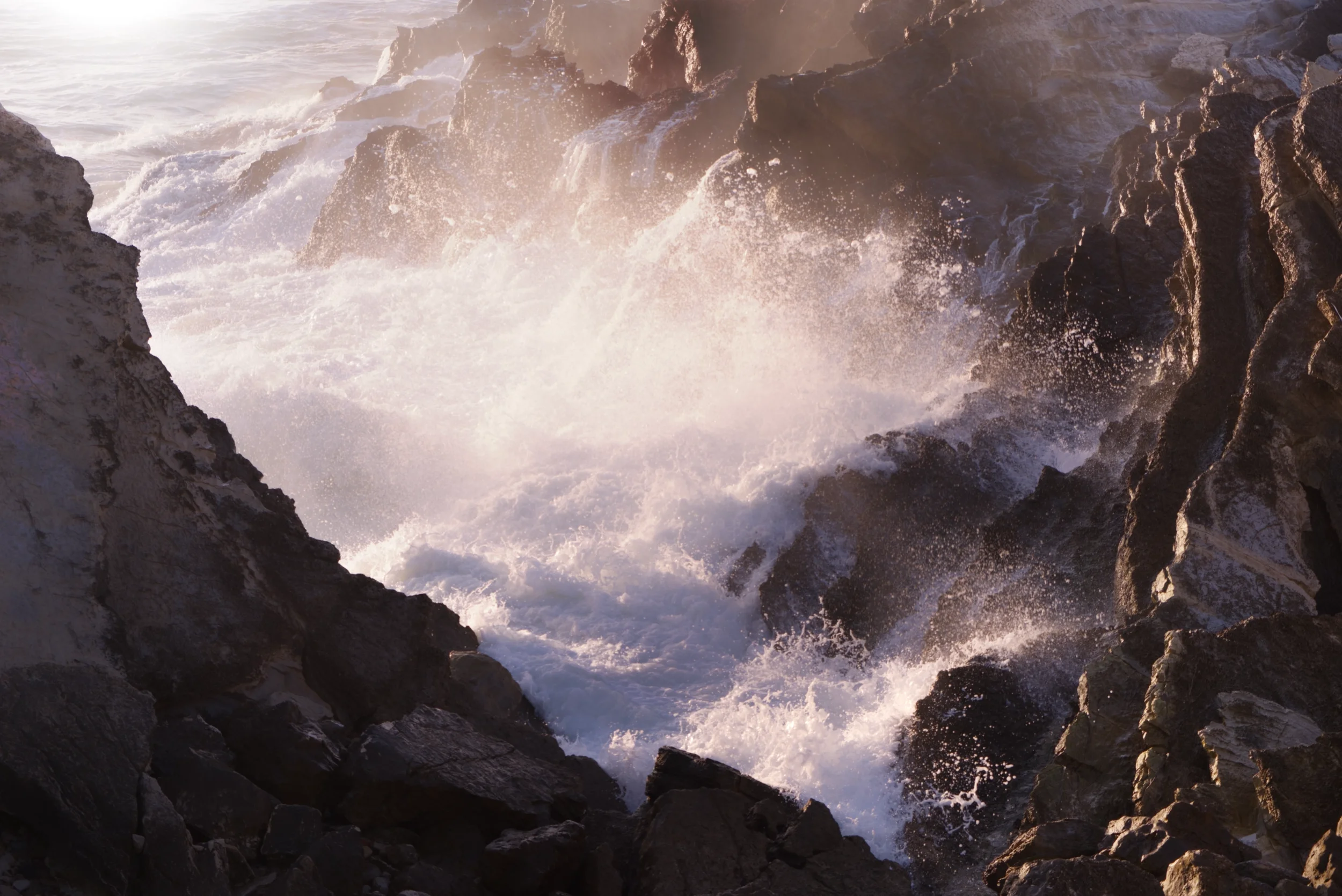 DSCF8692-m.webp
