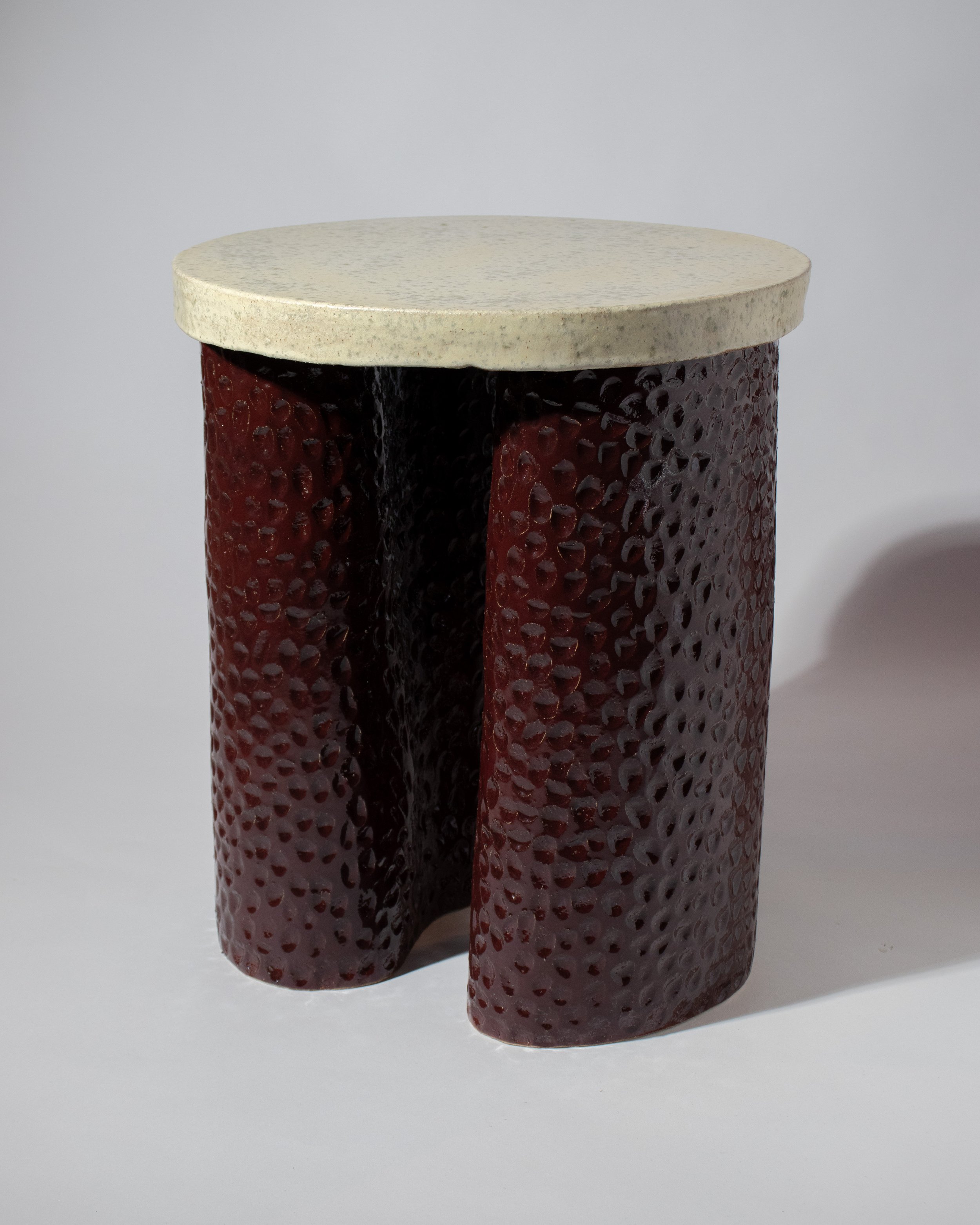 RaspberryTable_angle.jpg