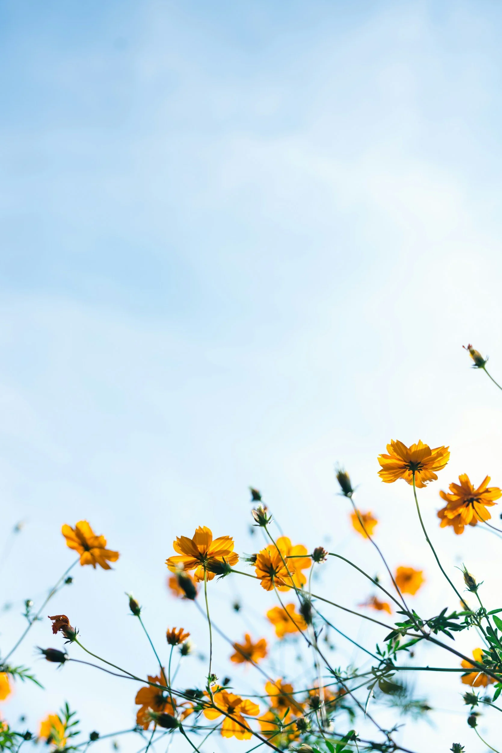 Closed for Mini Spring Break