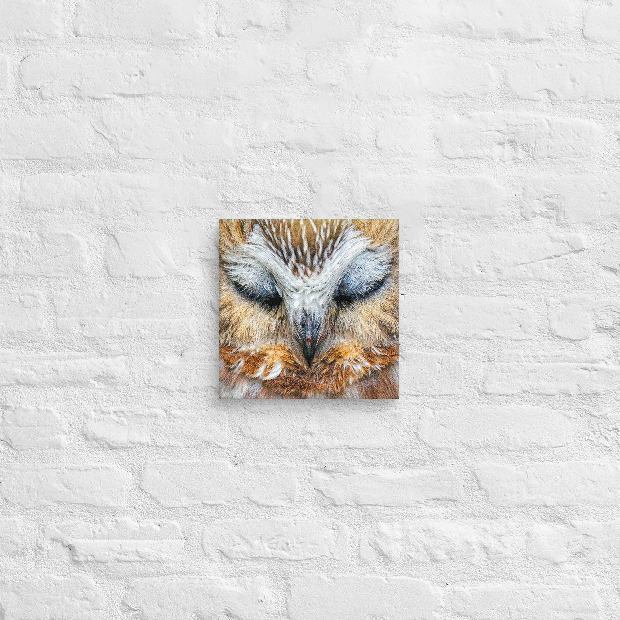 canvas-(in)-10x10-front-67781b2969f8e.jpg
