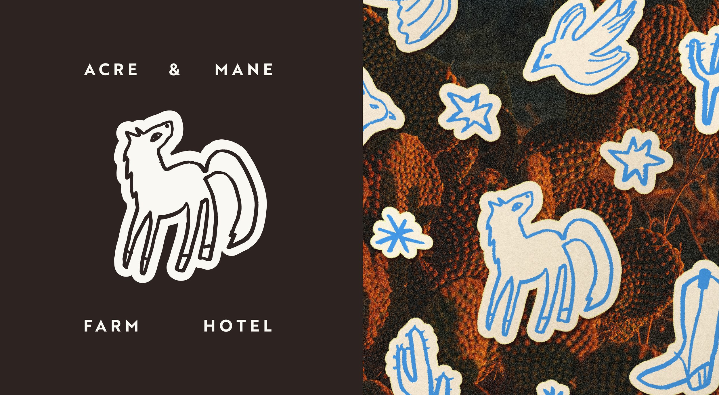 ACRE & MANE-06.jpg