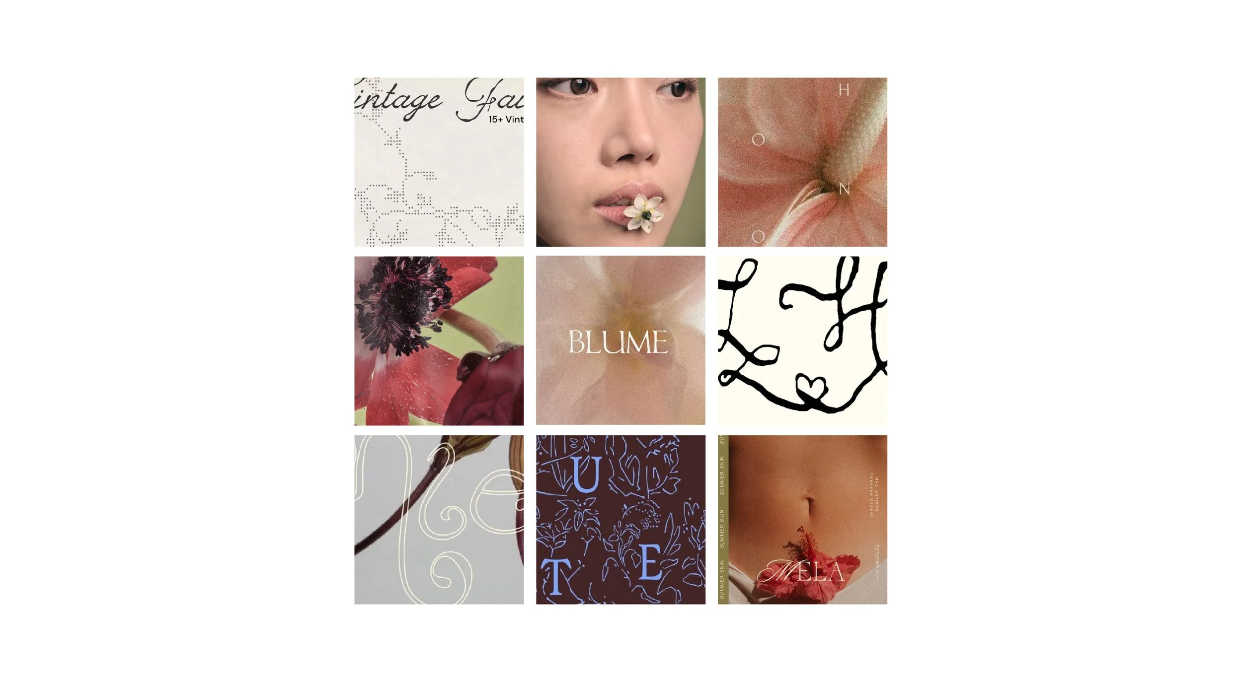 FLOWER-01.jpg