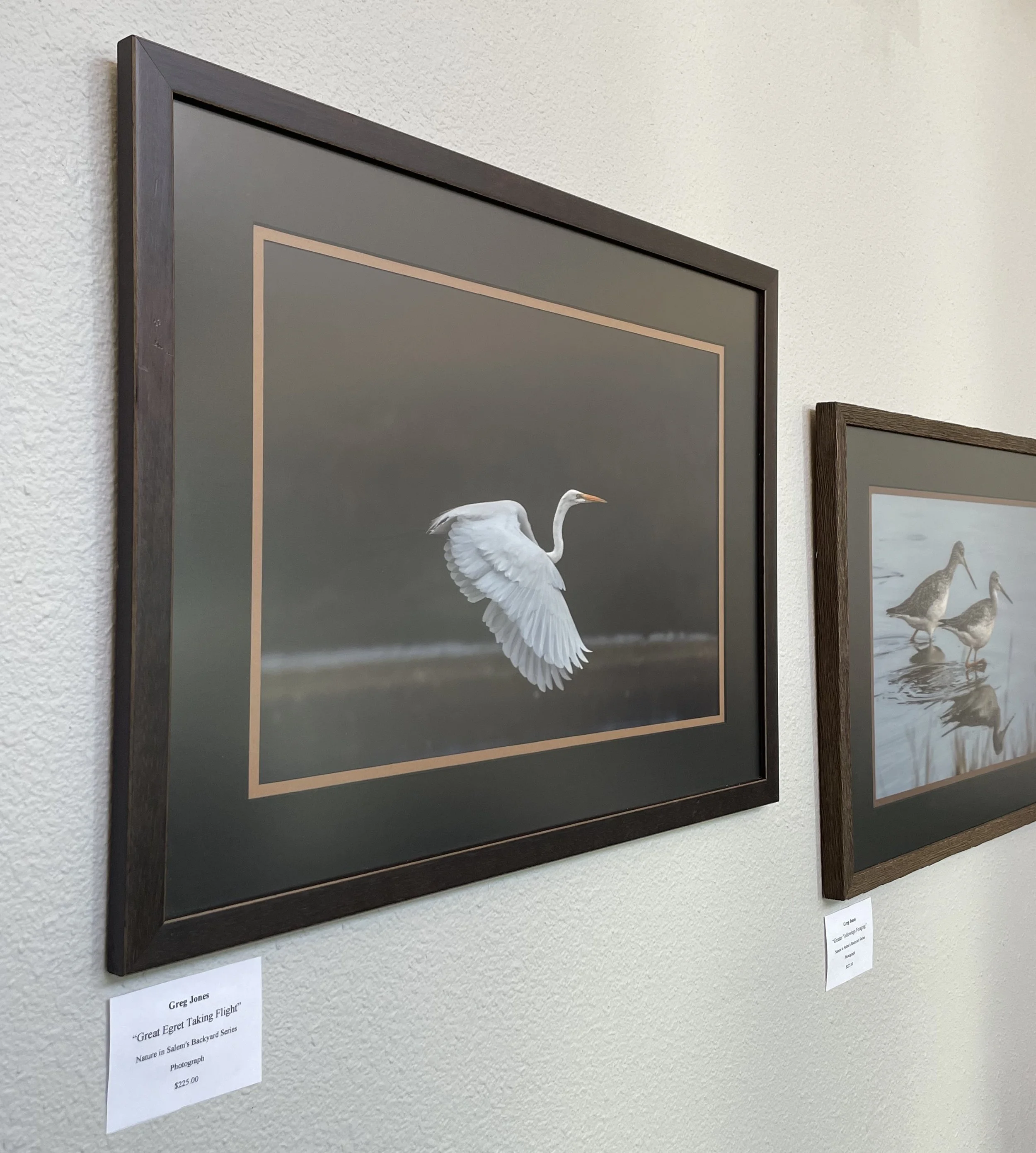 Greg Jones - Photography